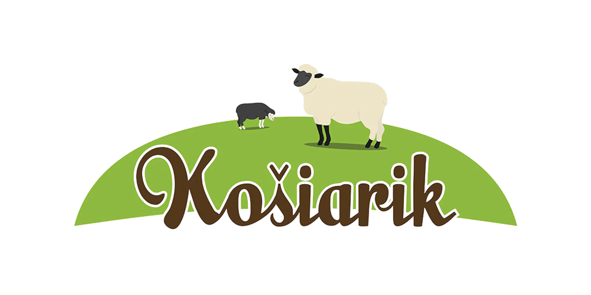 Lomniski - SKI and Snowboard School