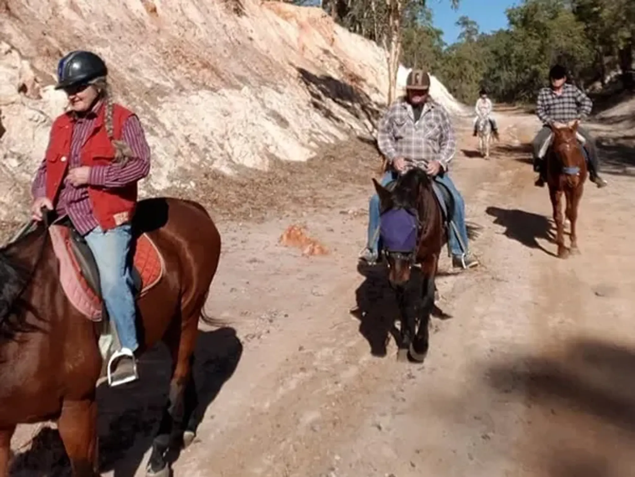 Green Gables Stables