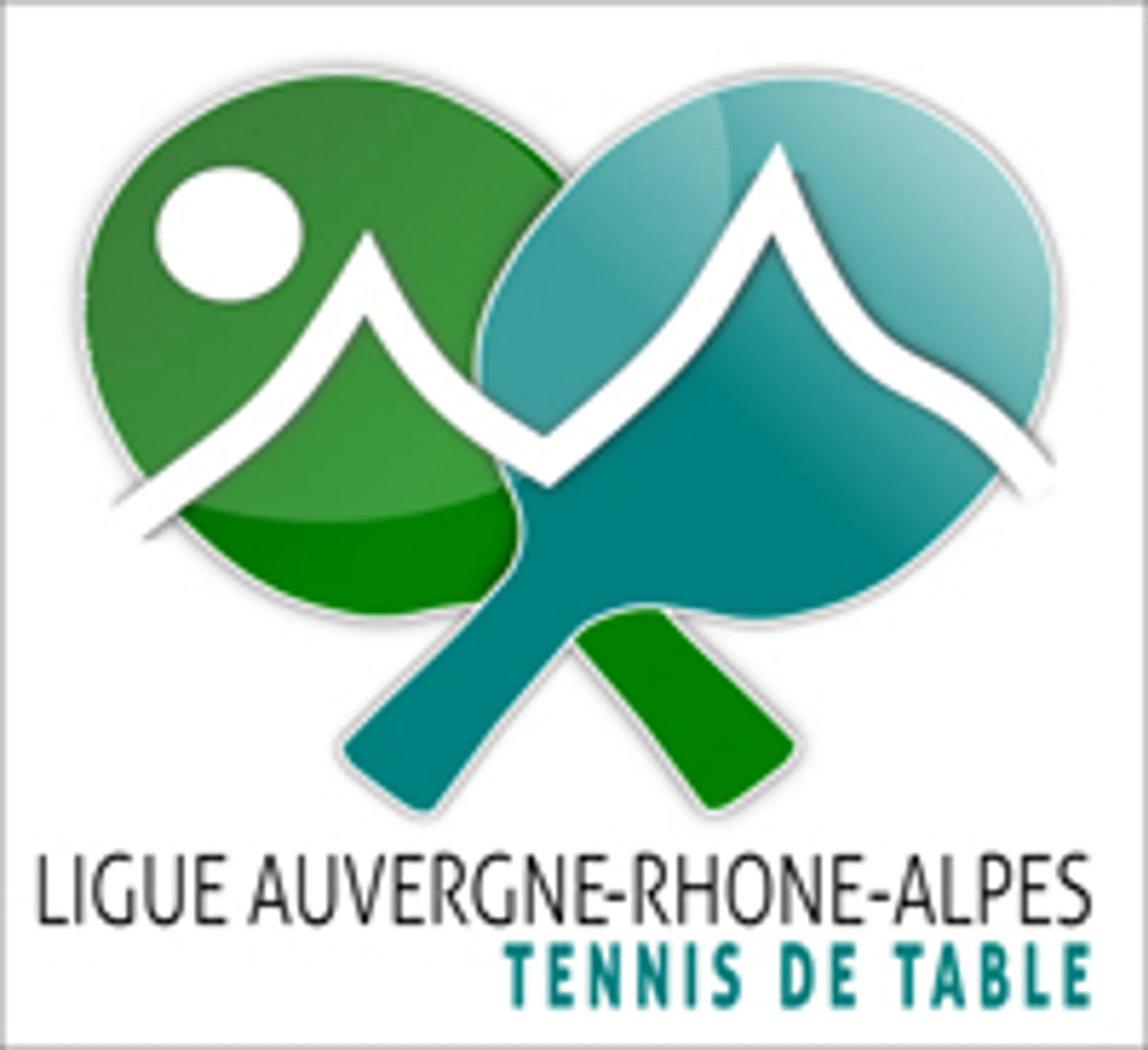Roanne Mably Tennis de Table