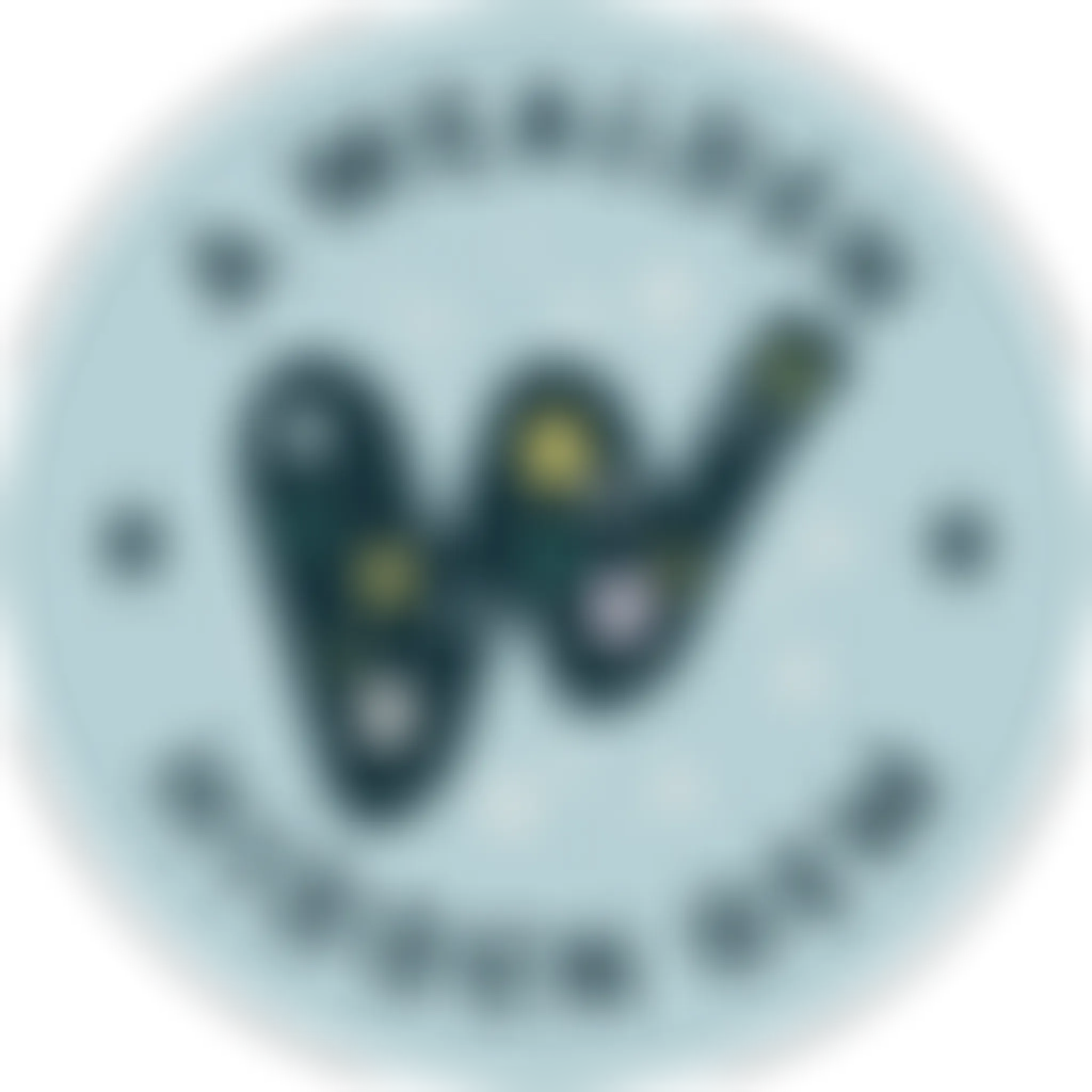 Be-Rad Watersports | Shop & School | Kite / Surf / SUP / Wing