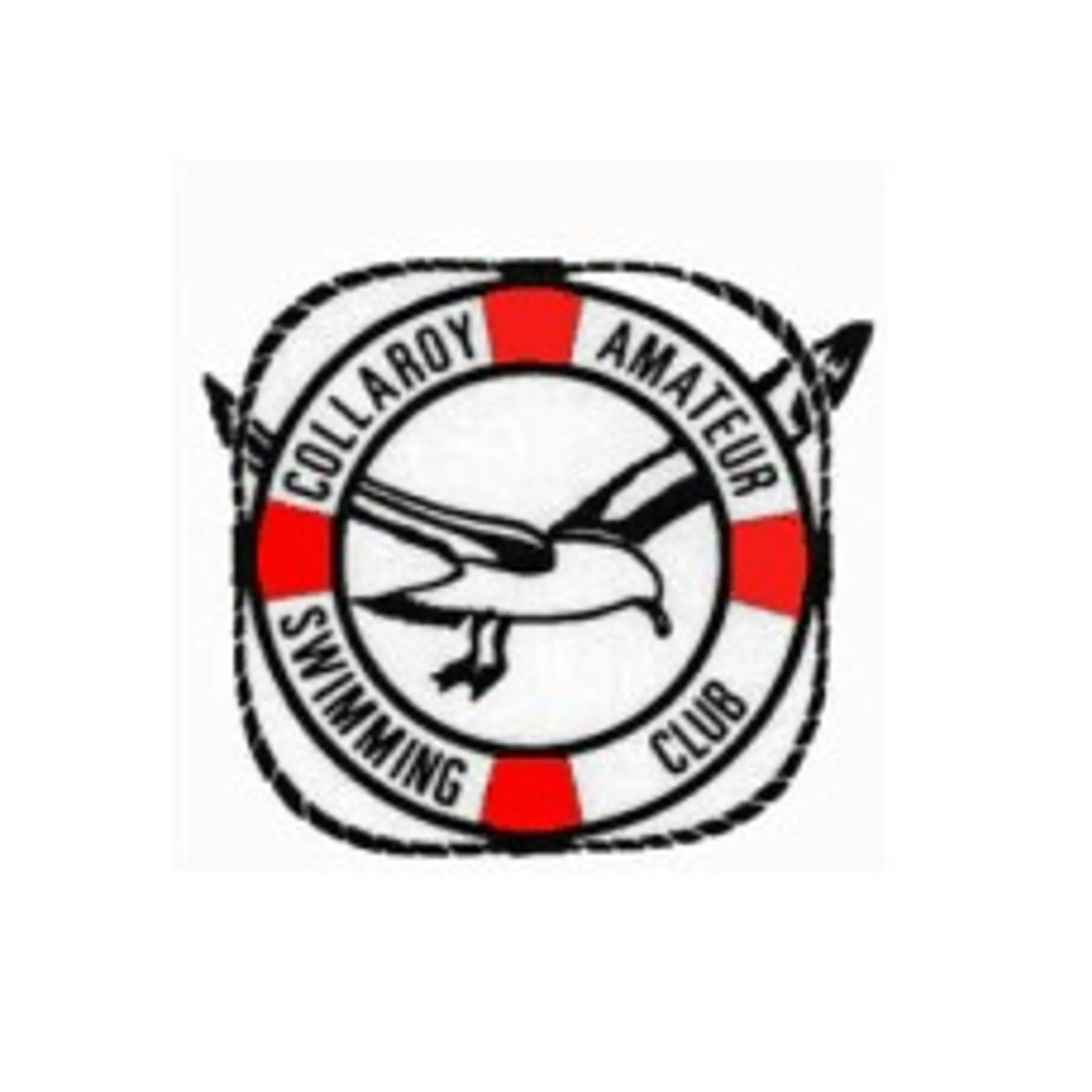 Collaroy Swimming Club