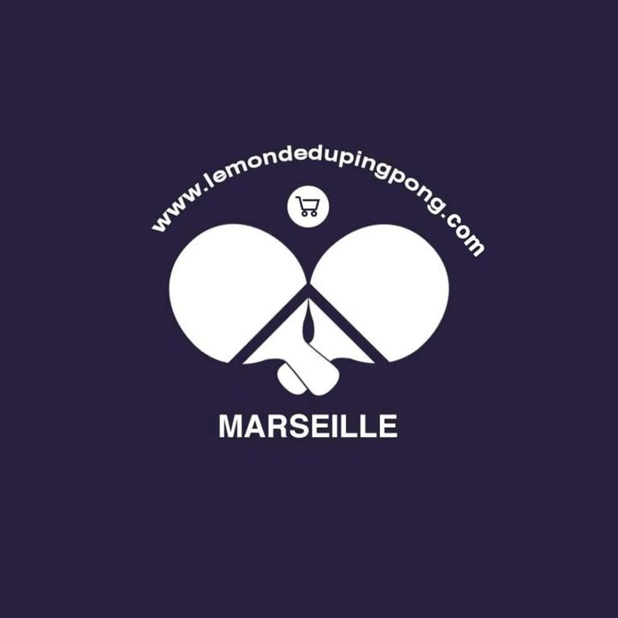 Stage Sportif de Tennis de Table pour Moins de 16 ans