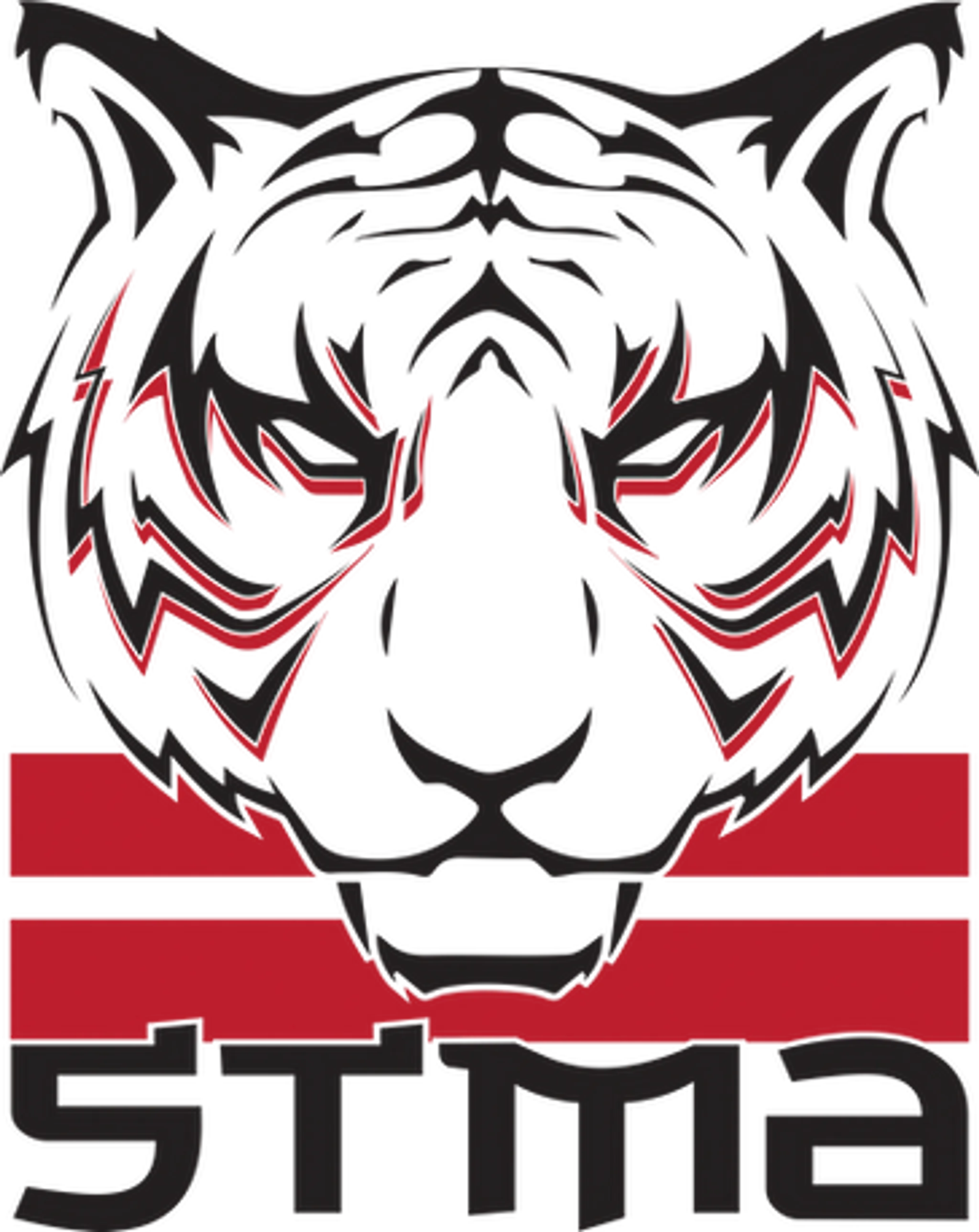 Silent Tiger Martial Arts