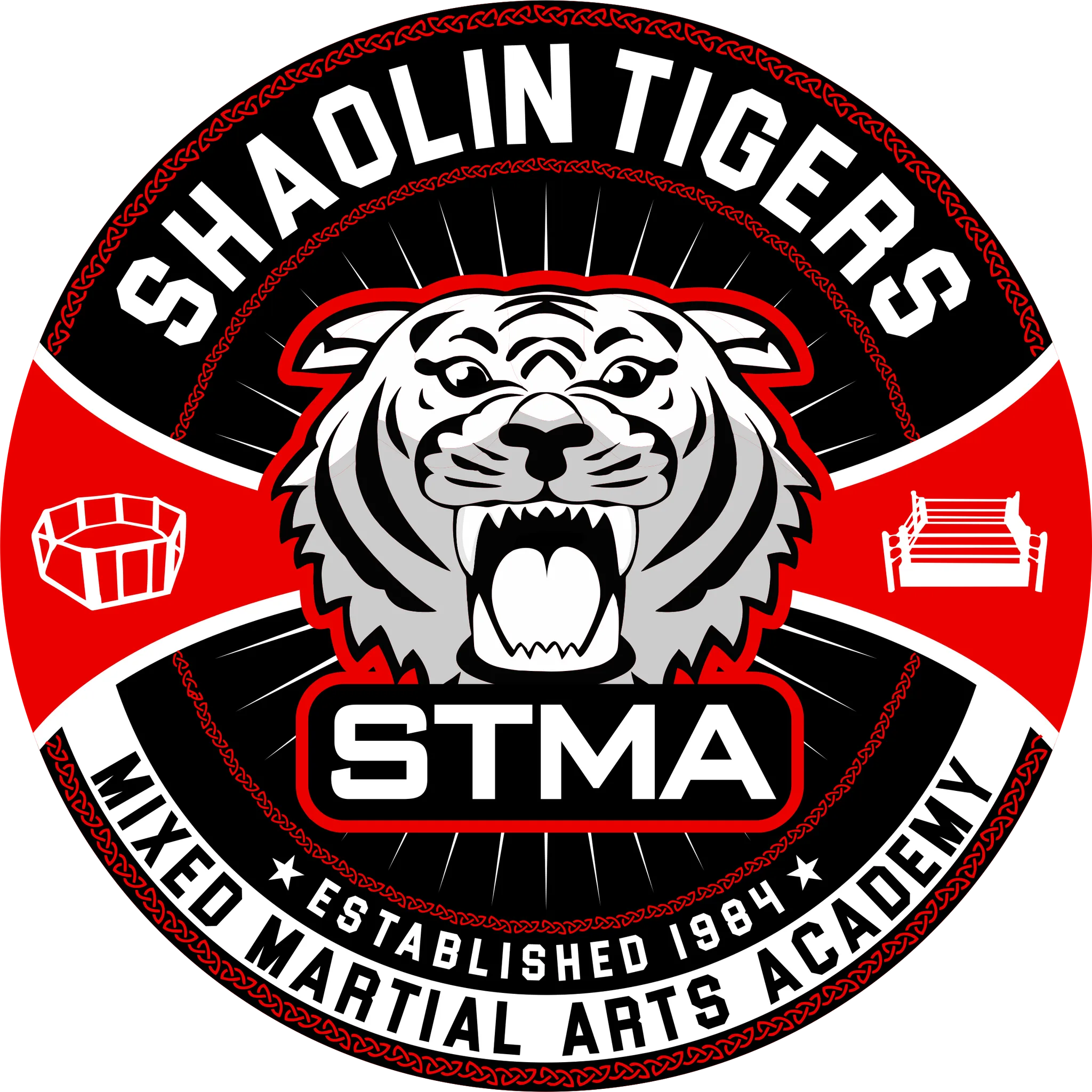 Shaolin Tigers Martial Arts BJJ Classes
