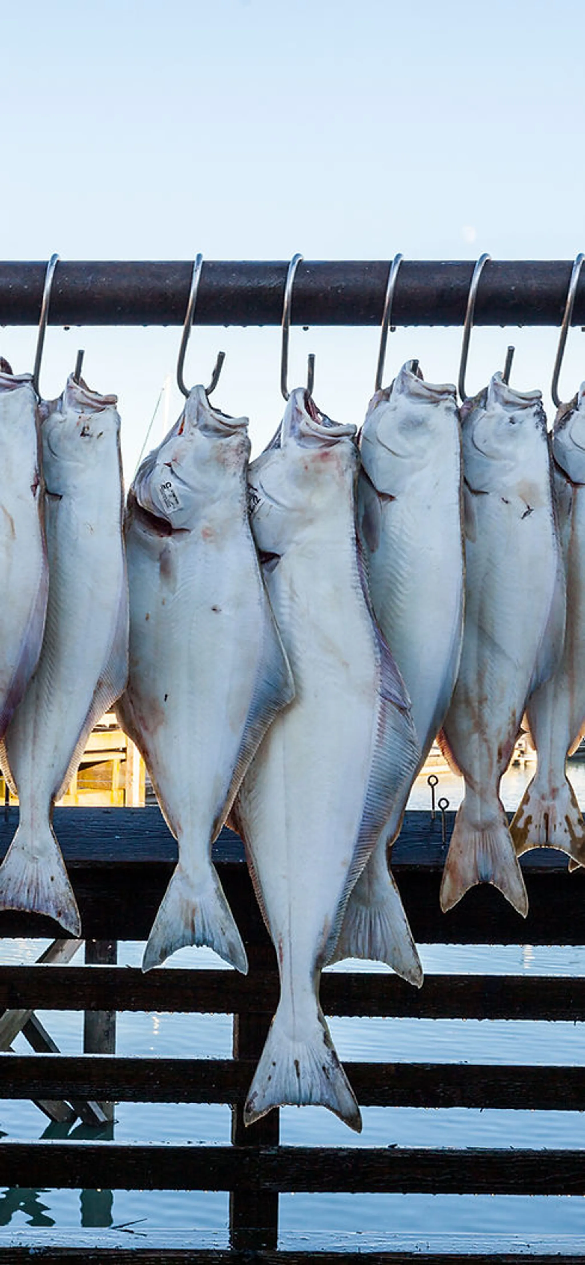 Fast Eddies Bait & Tackle