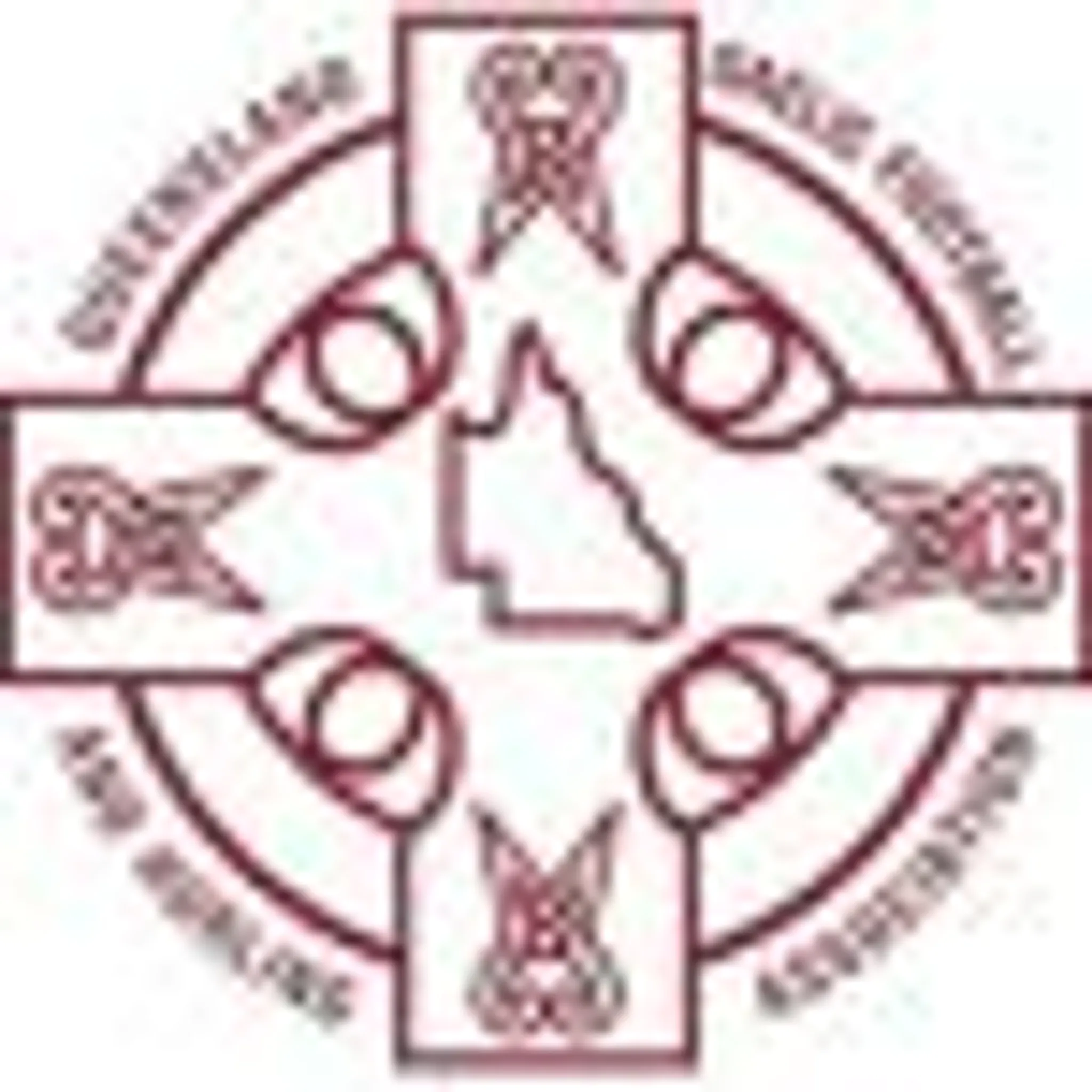 Queensland Gaelic Football Association