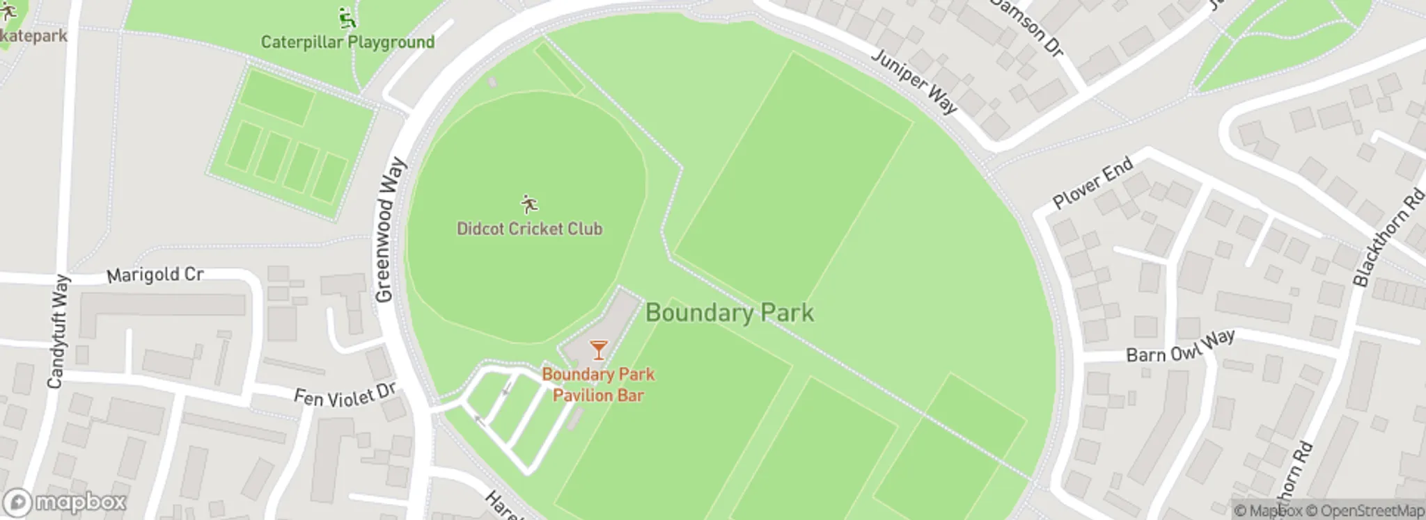 Summer Cricket Camp 2024