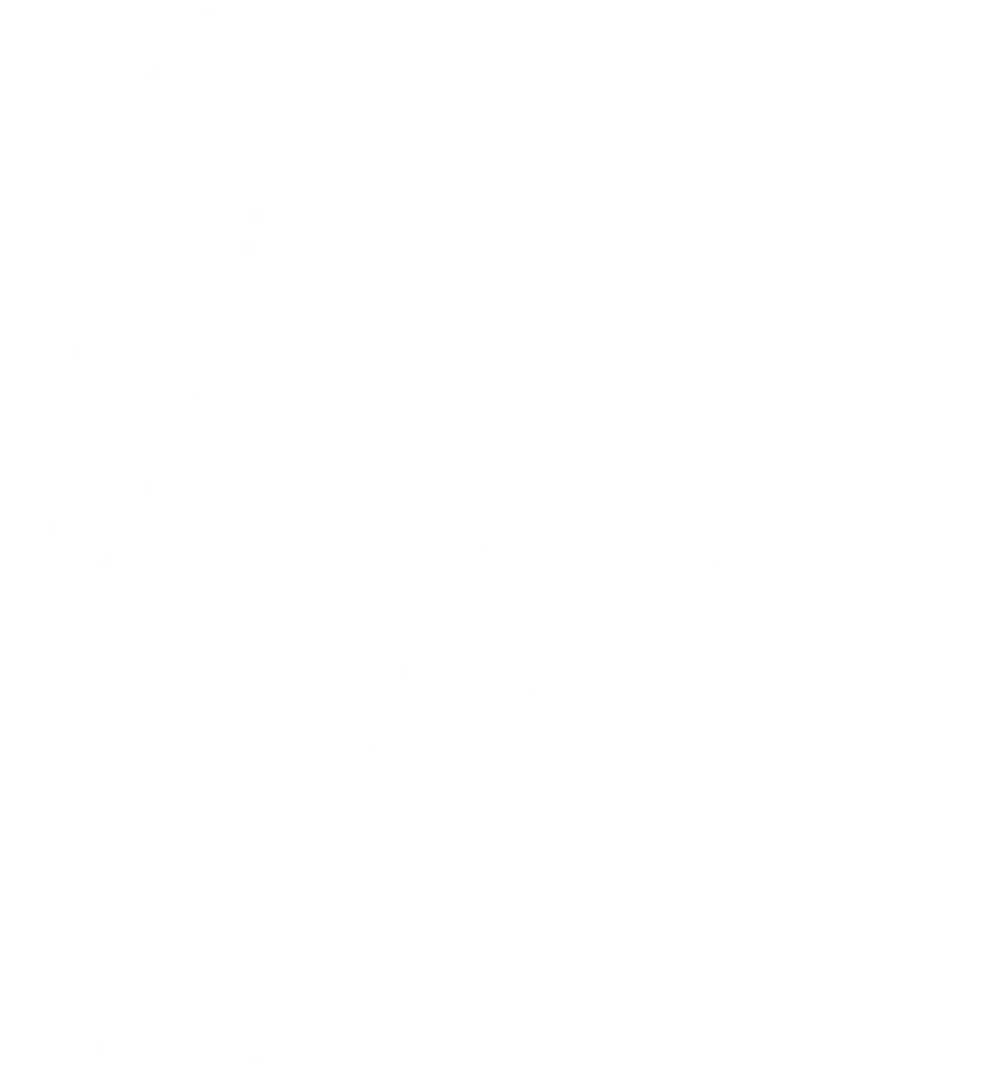 Pevnev Ballet Academy