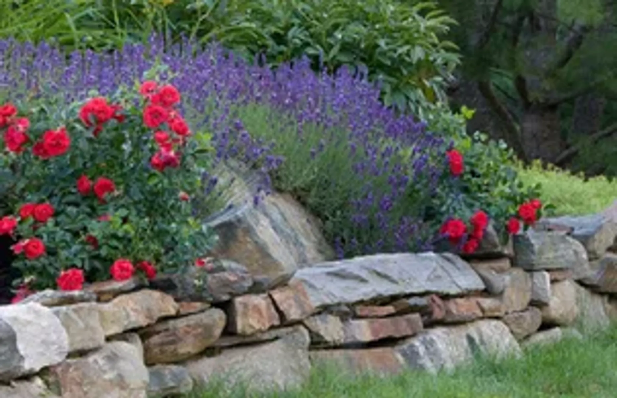 Golf at Bunsay Downs