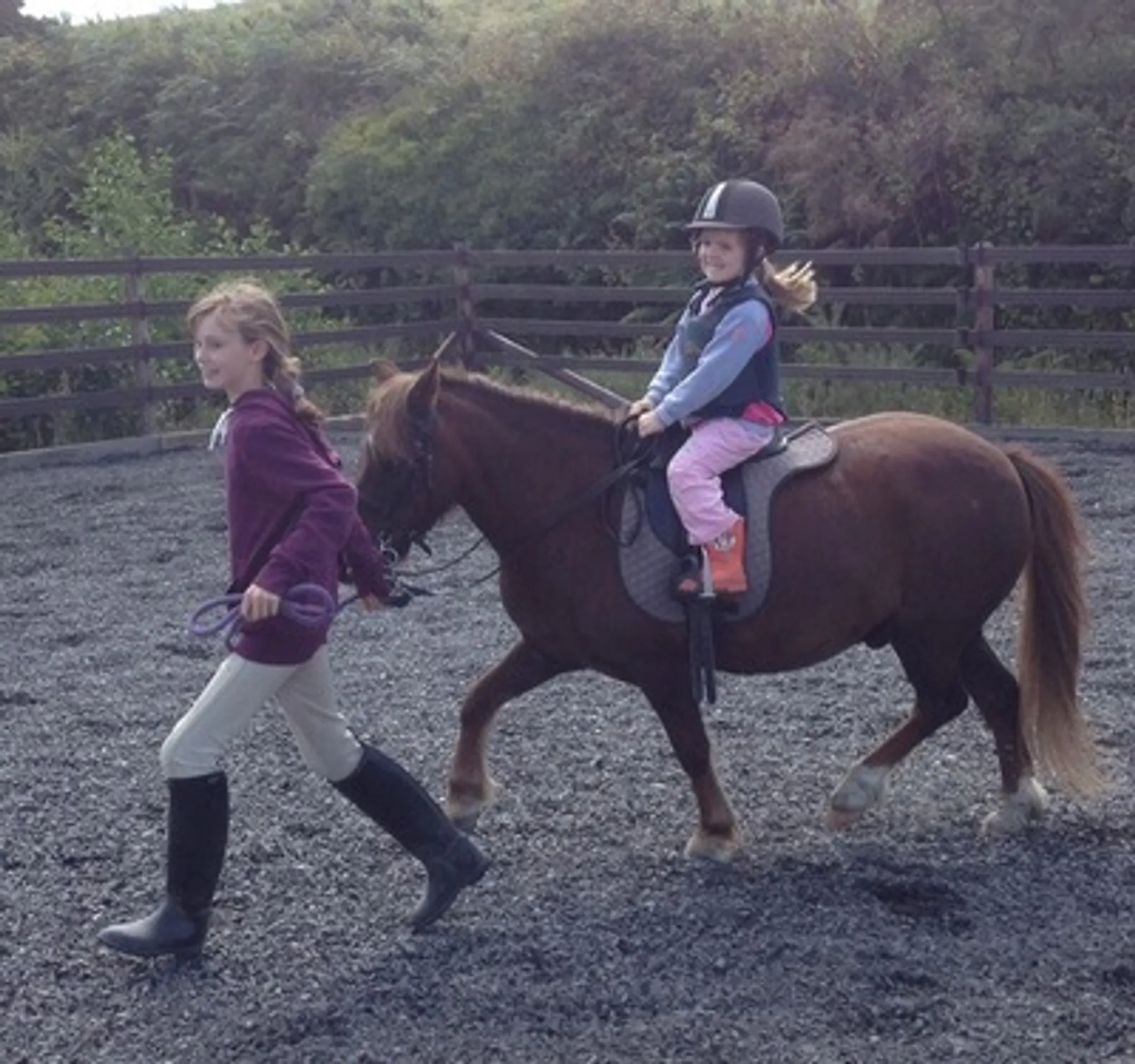Bantry Bay Pony Trekking