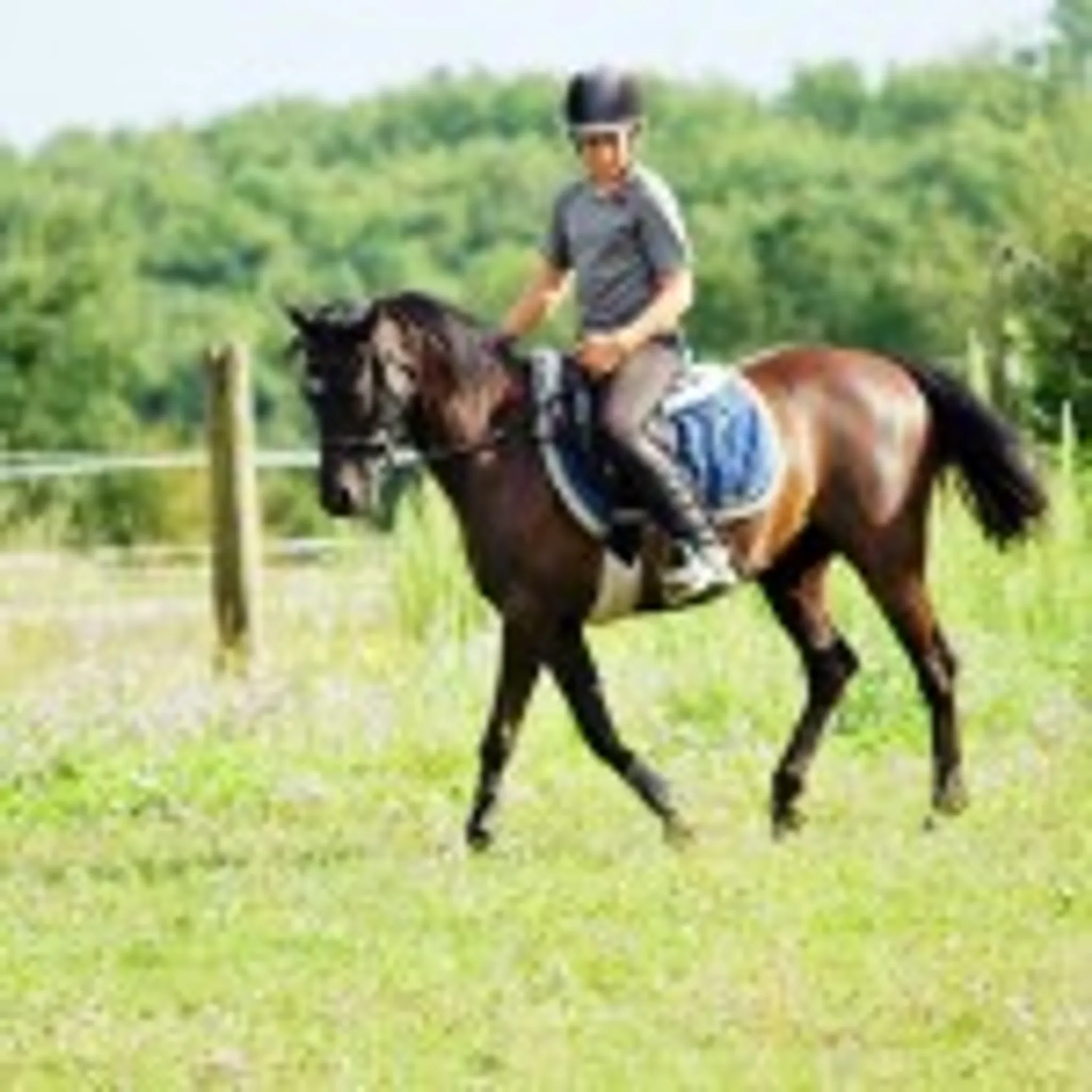 Farm Equestre De La Grésigne