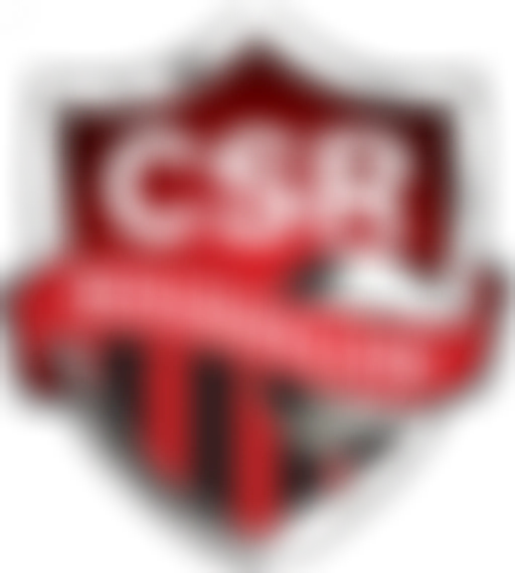 Club Soccer Roussilion