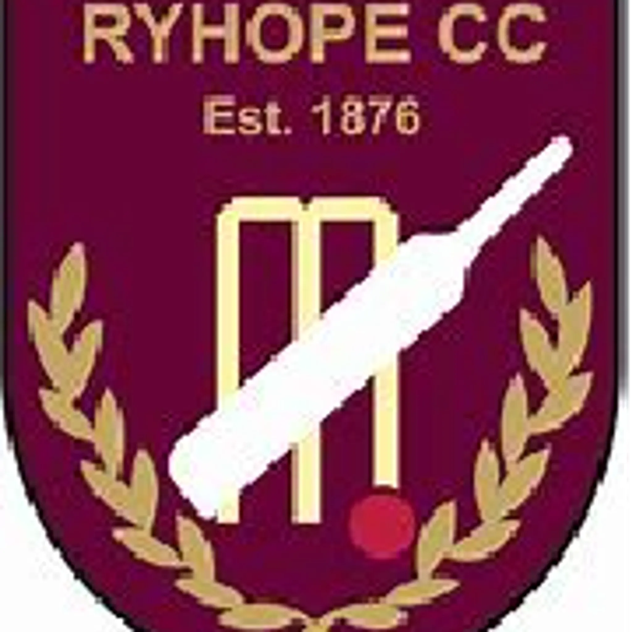 Ryhope C C Cricket Section