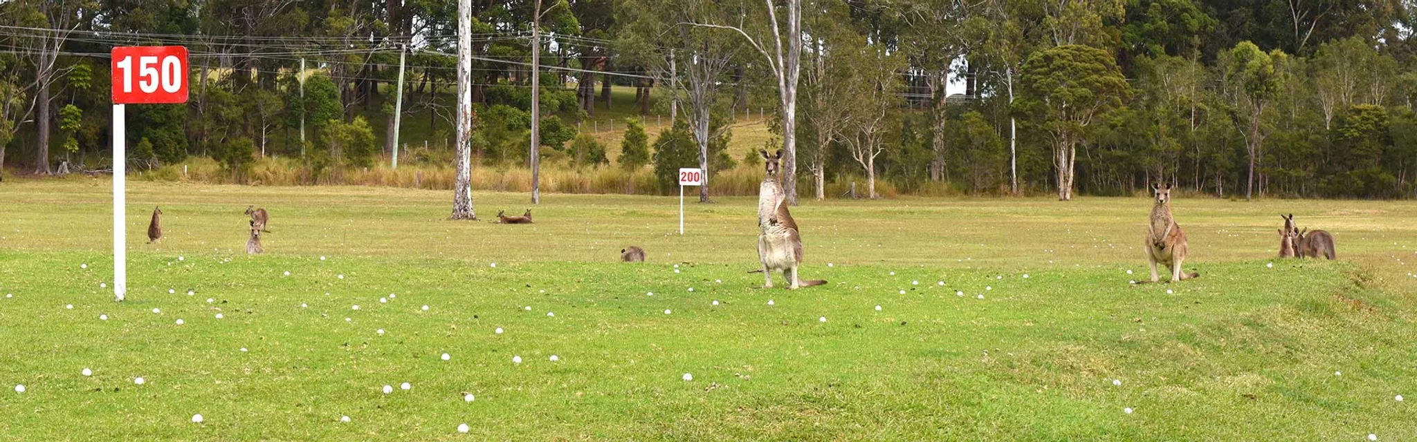 Port Macquarie Driving Range & Mini Golf