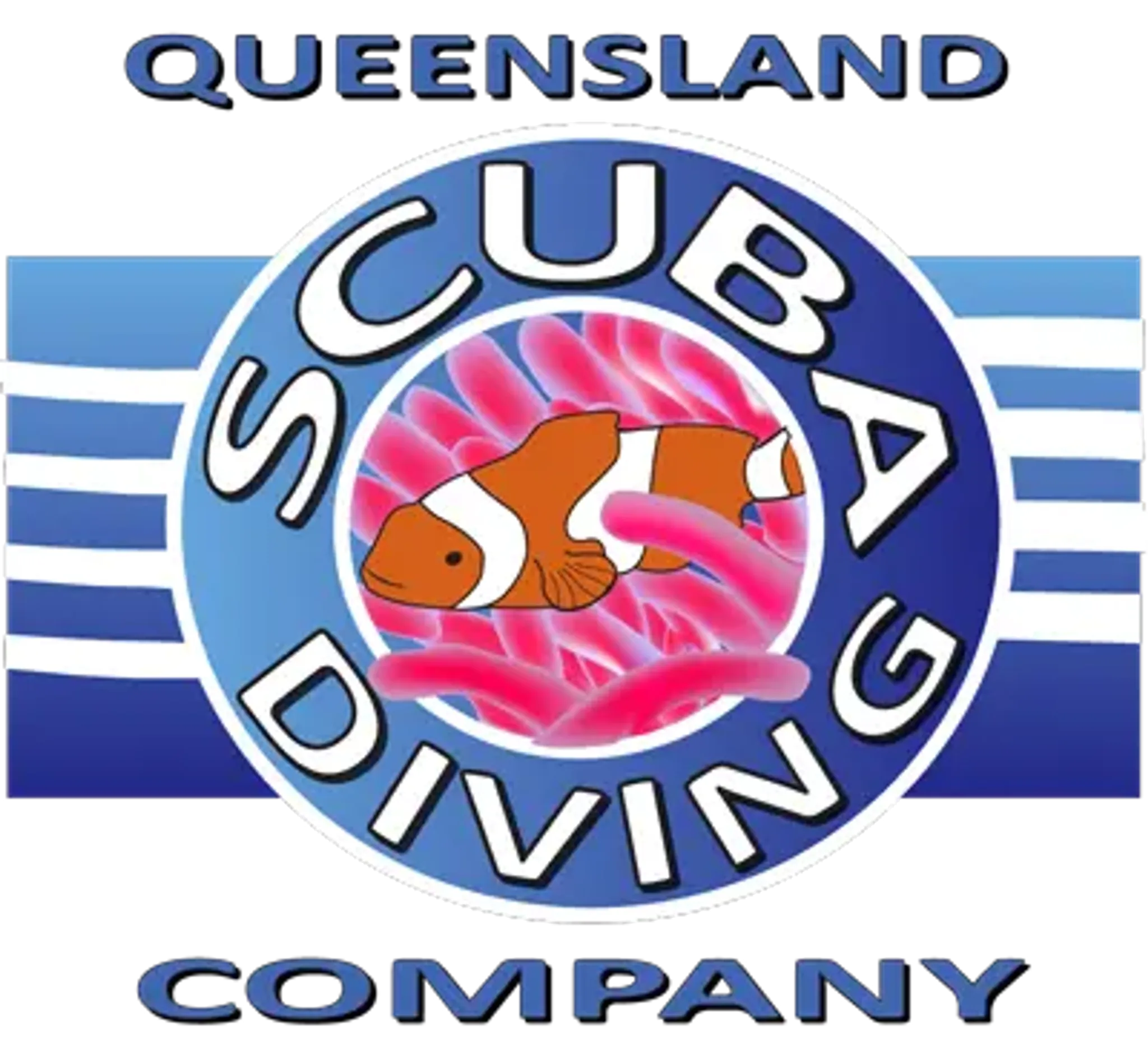 Wonder Reef Diving - Gold Coast Scuba Dive