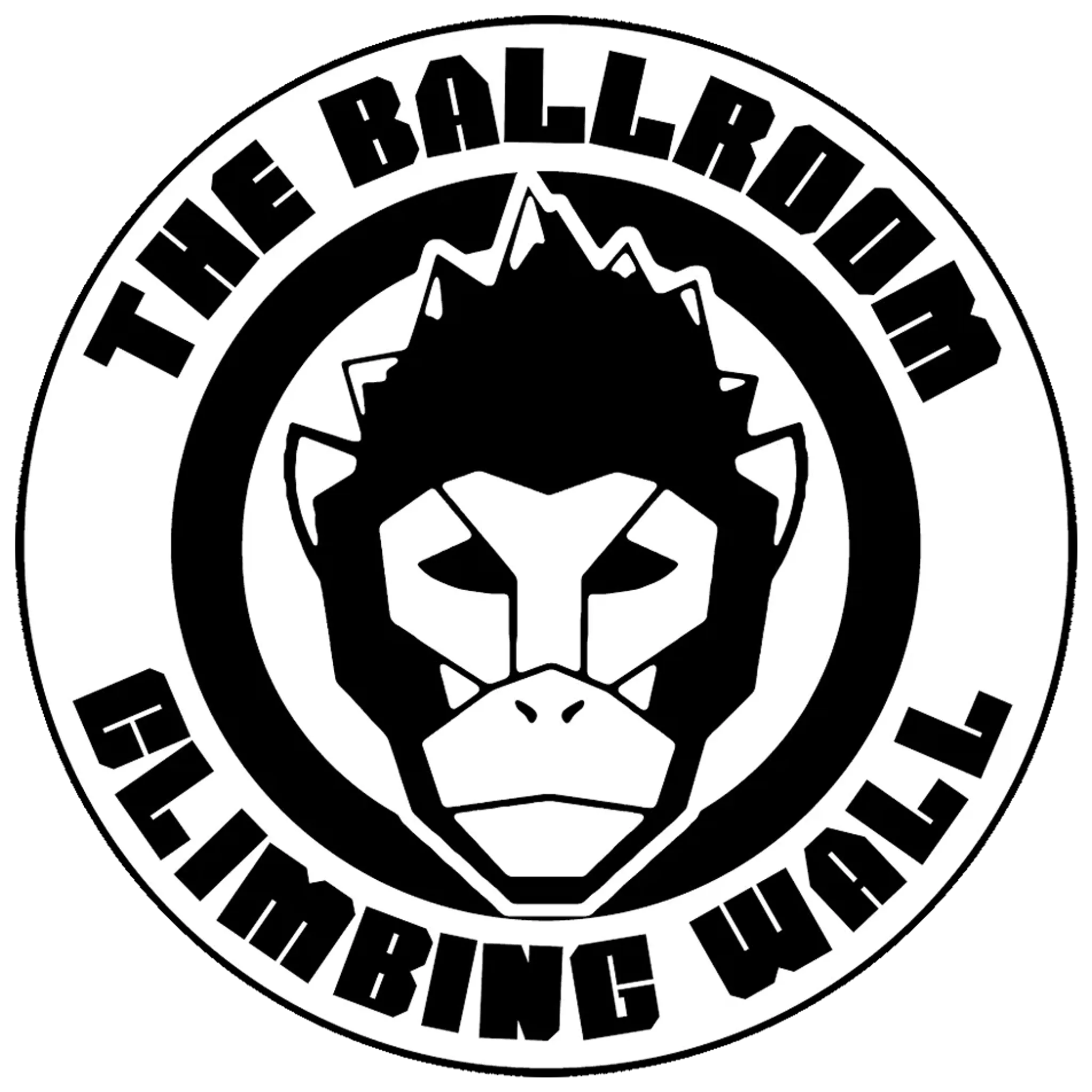 The Ballroom Climbing Wall