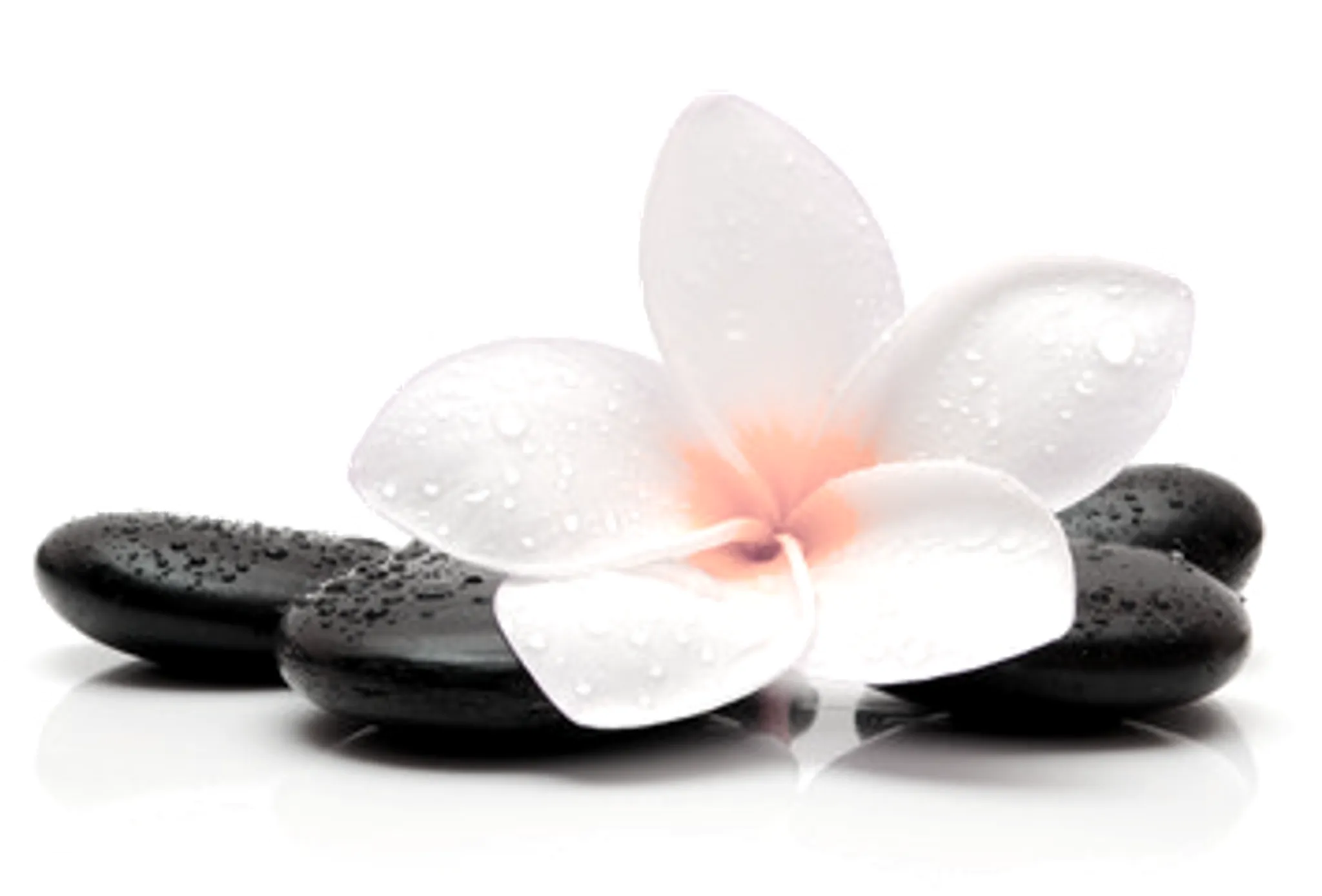 Studio Takecare Wellness - Agnès & Serge Desroches - Pilates Barre Au Sol