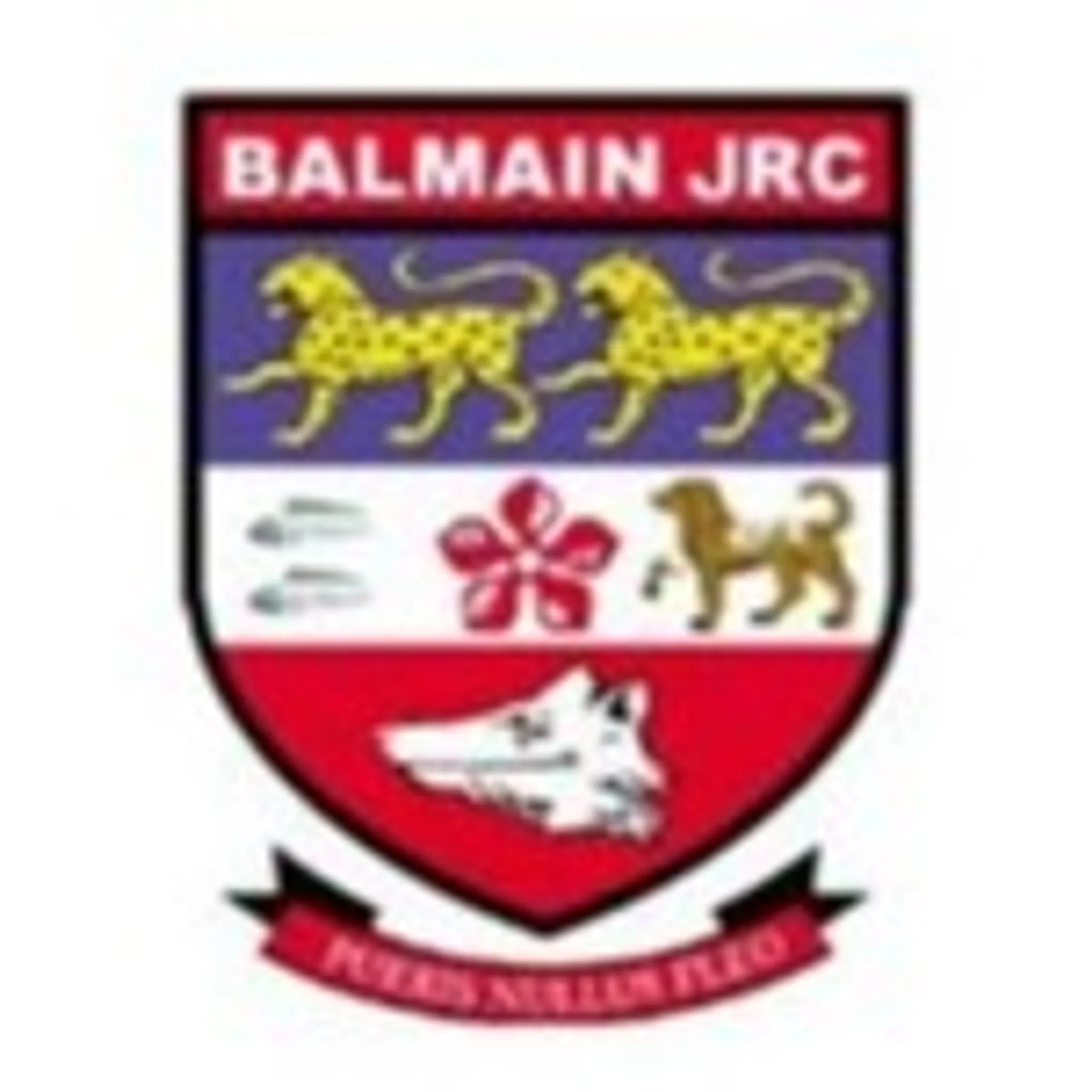 Balmain Junior Rugby Club