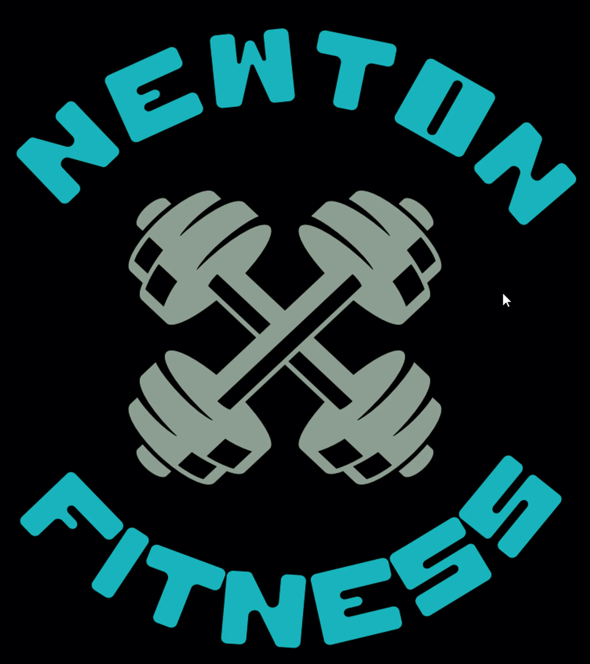 Newton Fitness