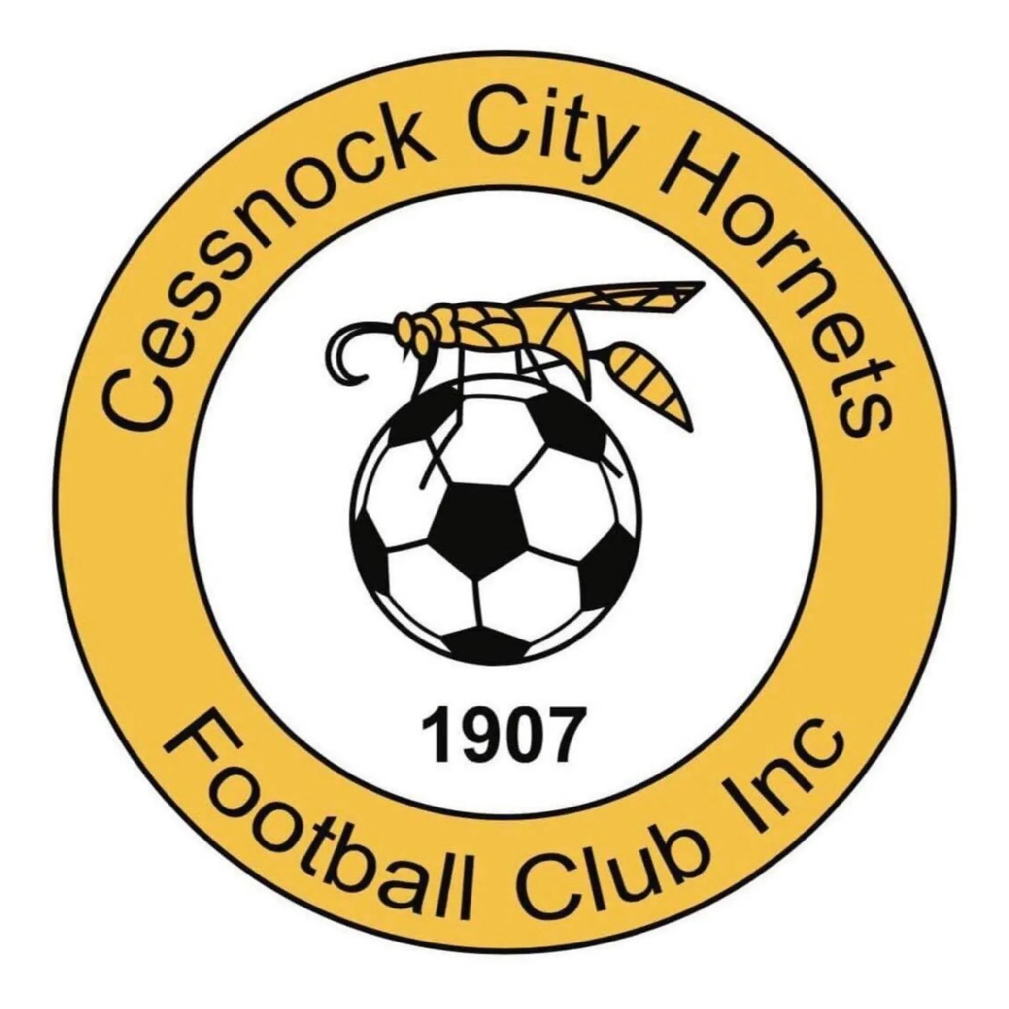 Cessnock City Hornets FC
