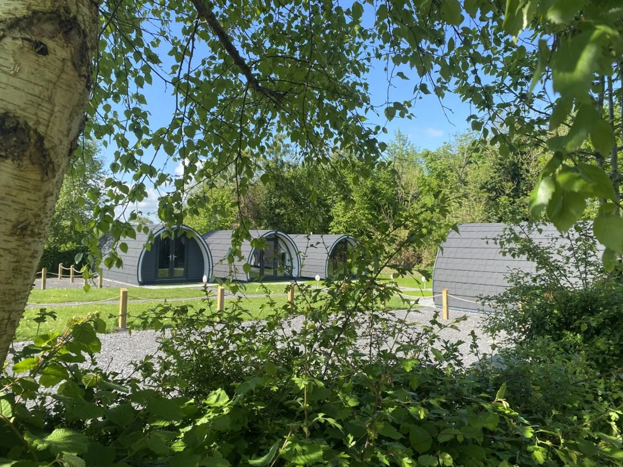Leisure Suite and Gym at Share Discovery Village