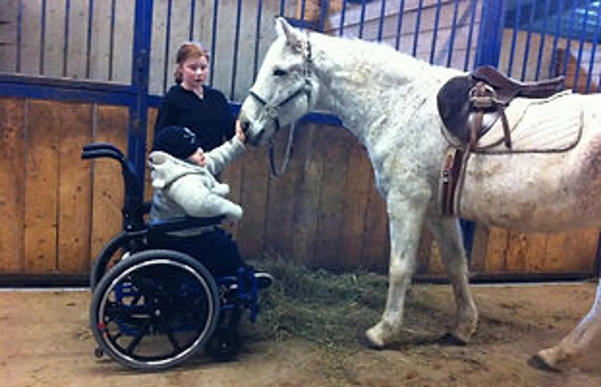 Esprix Stables High Performance Riding Club