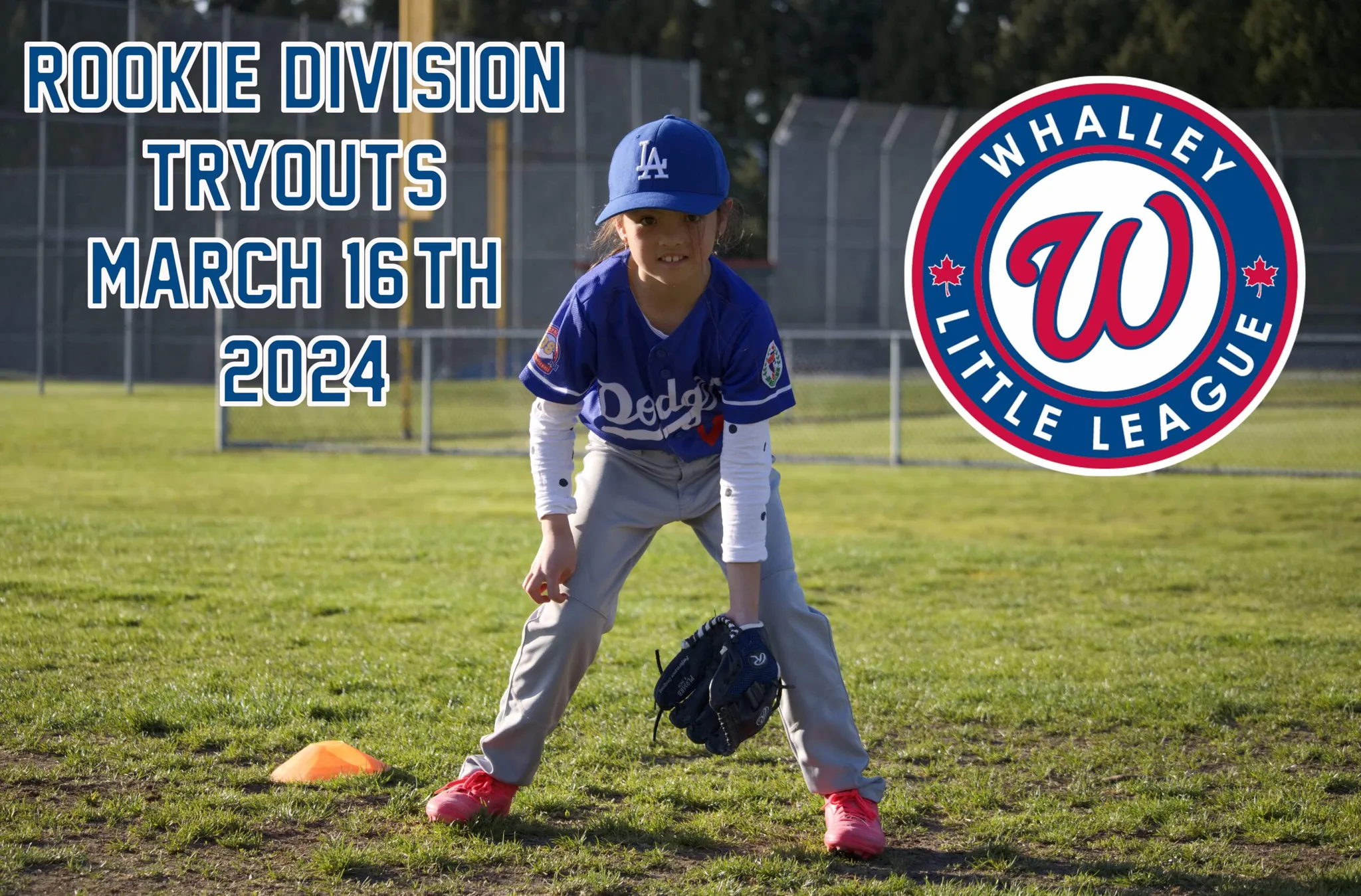 Whalley Little League Rookie Division
