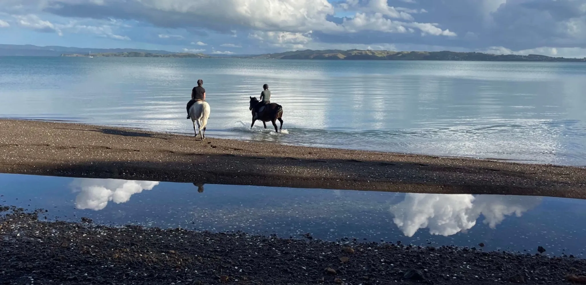 Horse Ride Waiheke Woodside Bay Scenic and Beach Ride