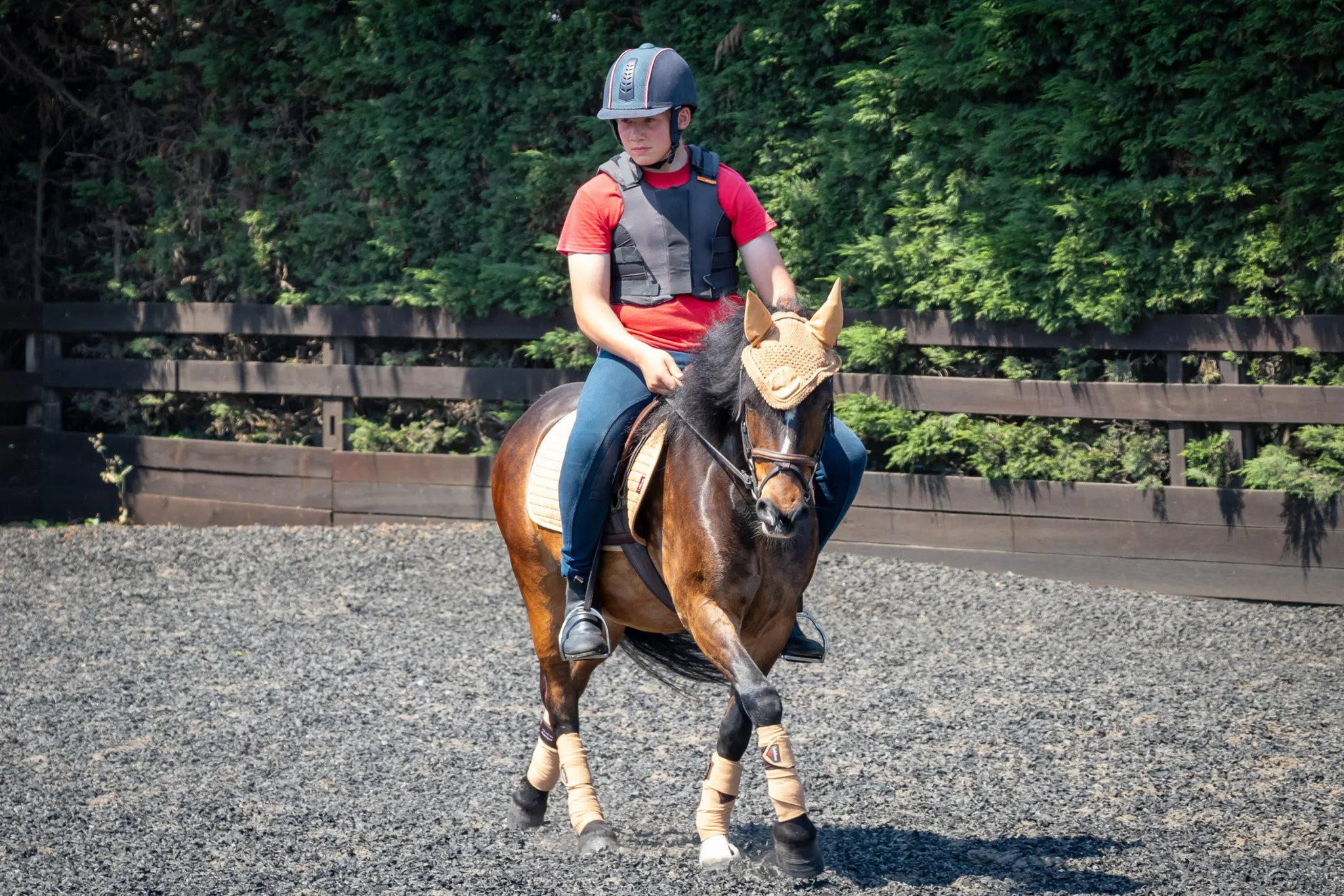 Black Cat Equestrian Centre