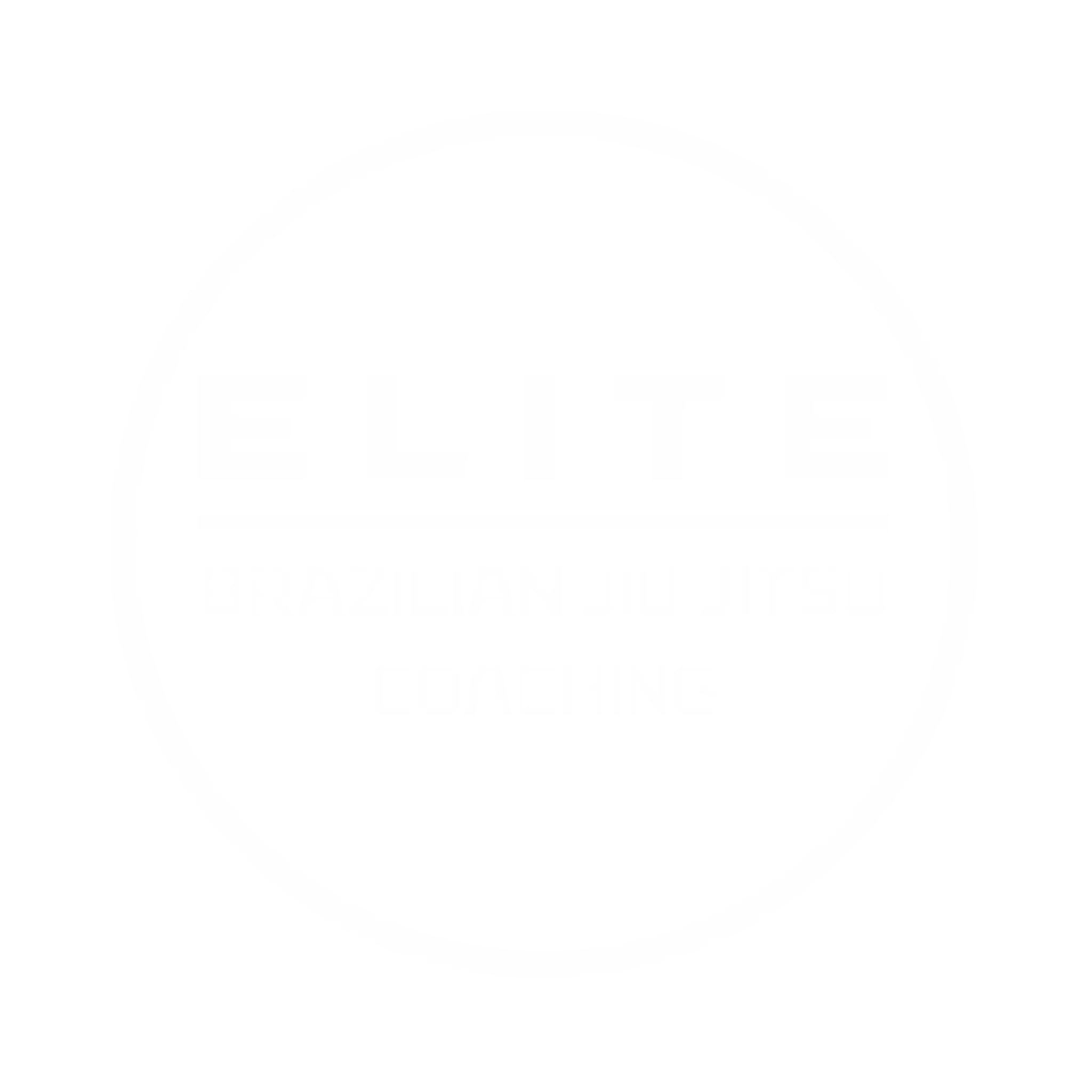 Elite Brazilian Jiu Jitsu Coaching
