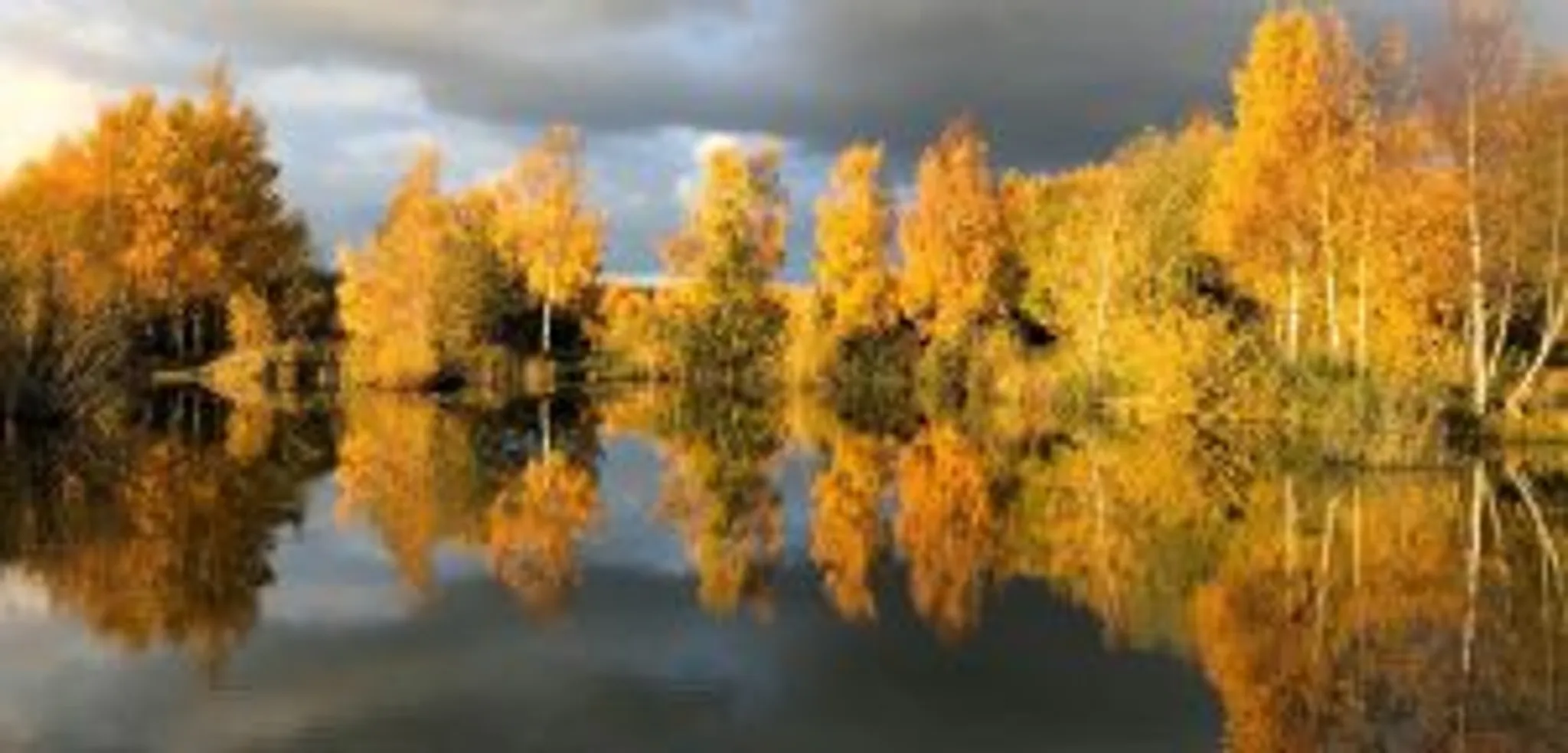 Messingham Sands Fishery