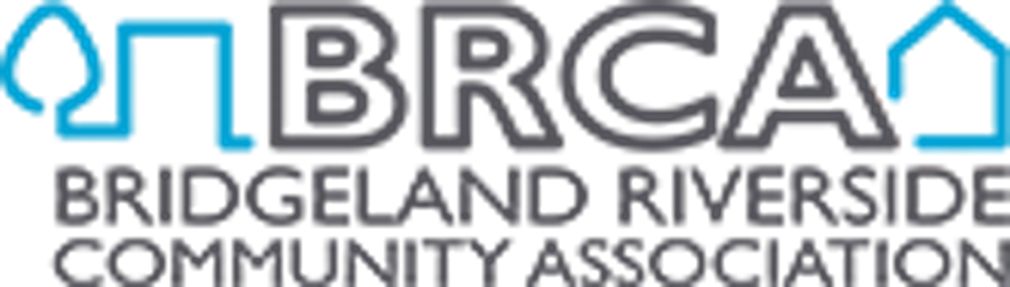 Bridgeland Sport Court