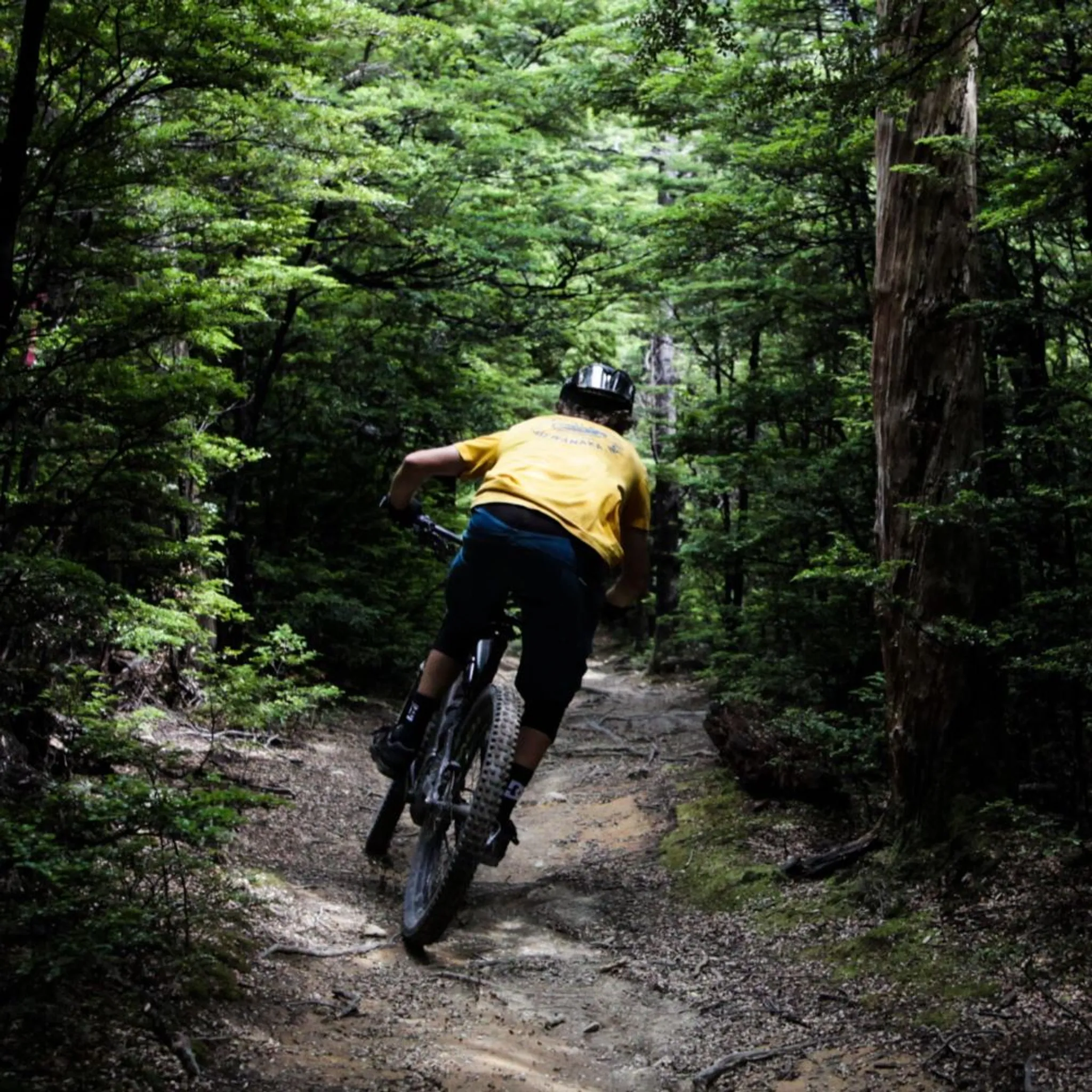 Mountain Bike Shuttles