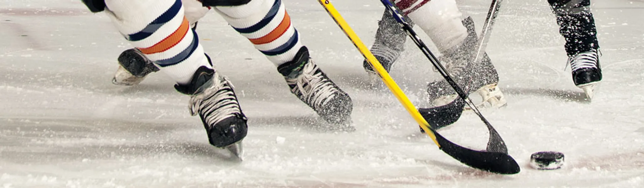 Gordie Howe Kinsmen Arena