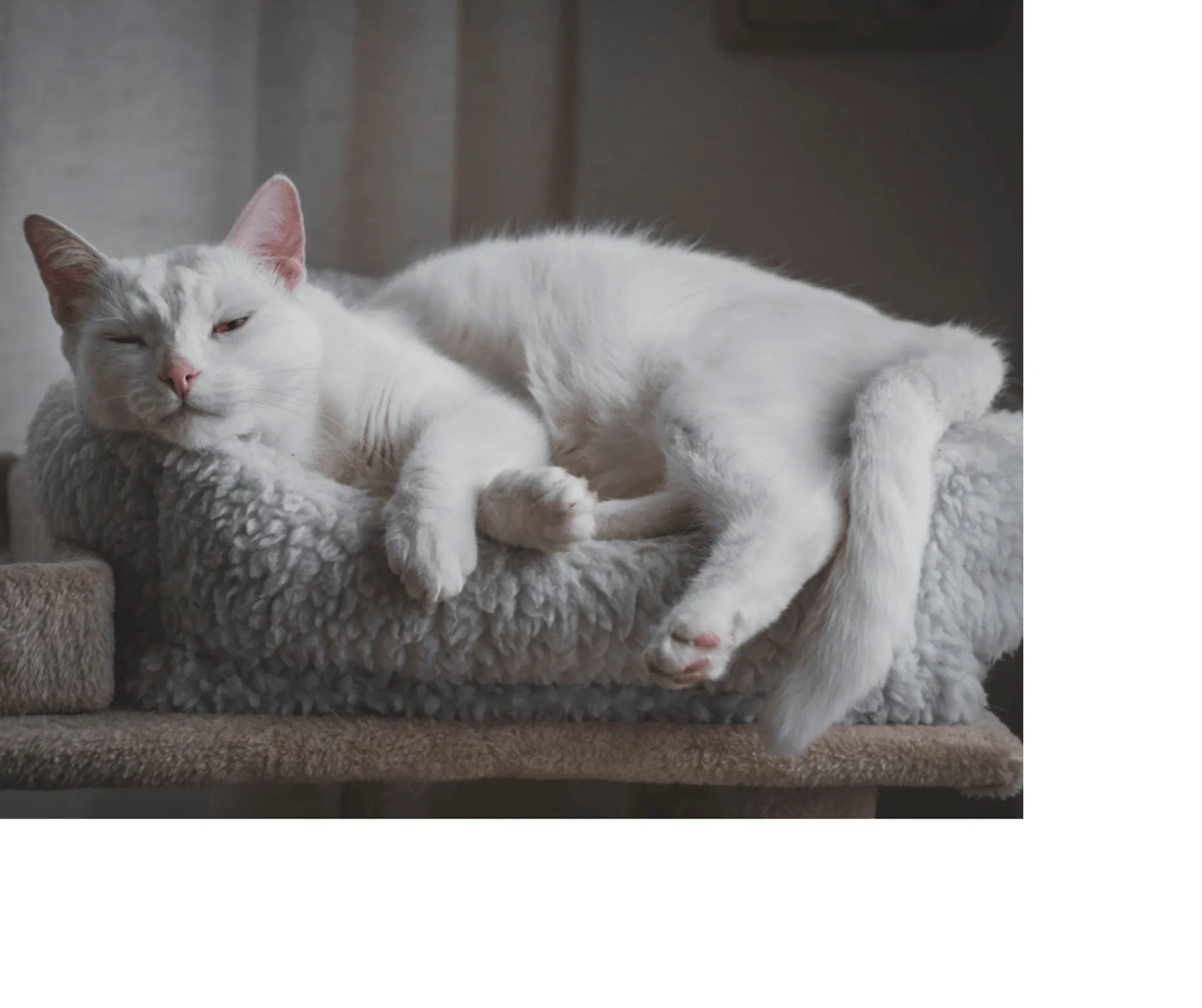 Noro Yogananda Thérapeute Bien-Être : Massage Bien-Être / Drainage Lymphatic Renata / Réflexologie