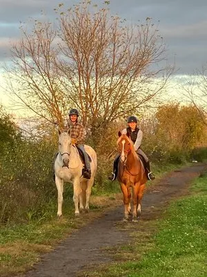 Stillwater Stables