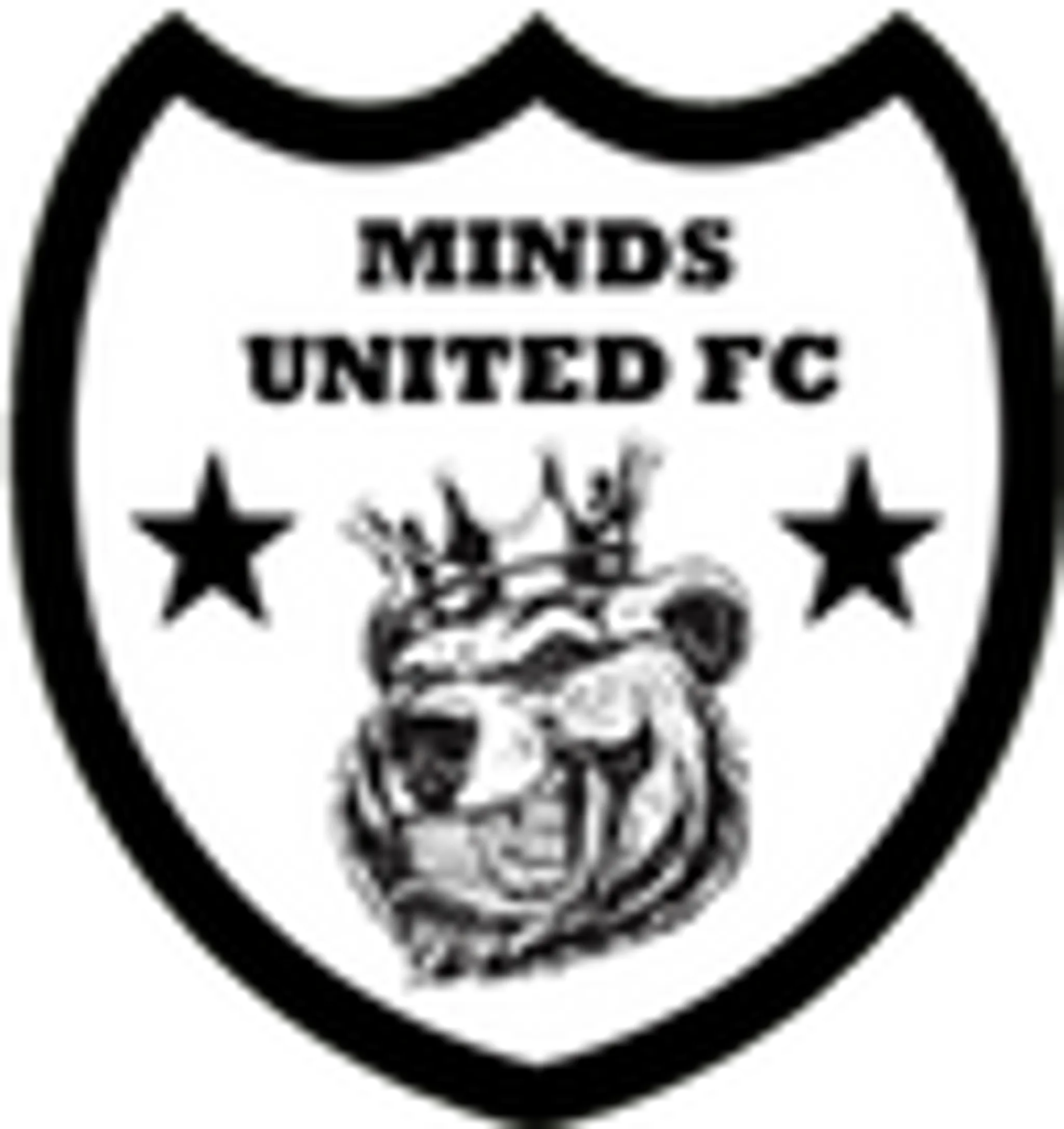 Minds United Football Club CIC