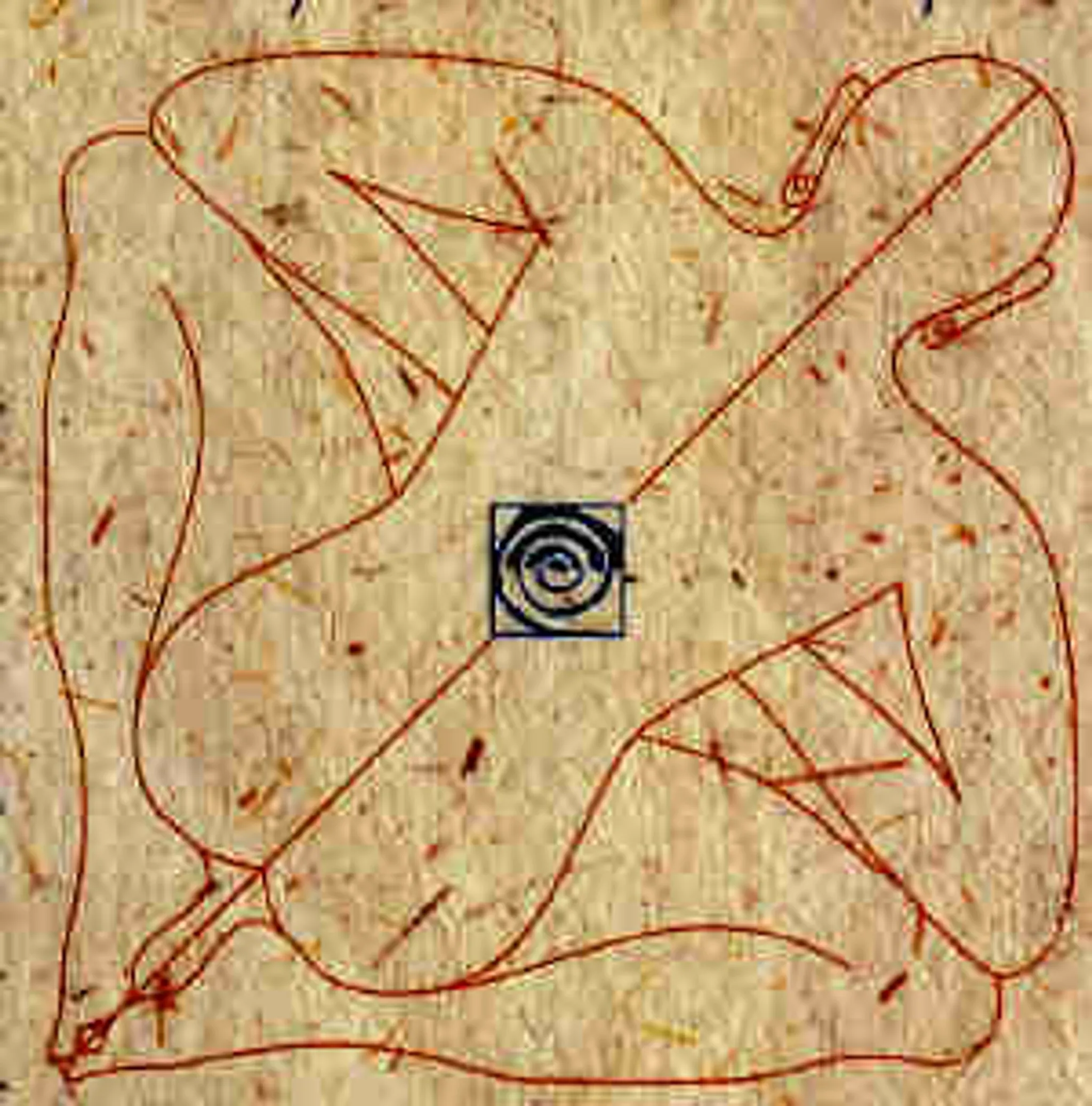 Yoga Republic, Yoga Studio