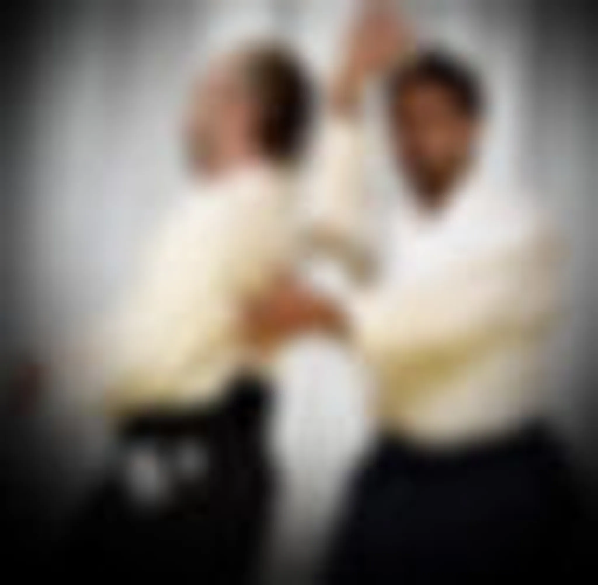 Aikido Canada - International School School Downtown Montreal