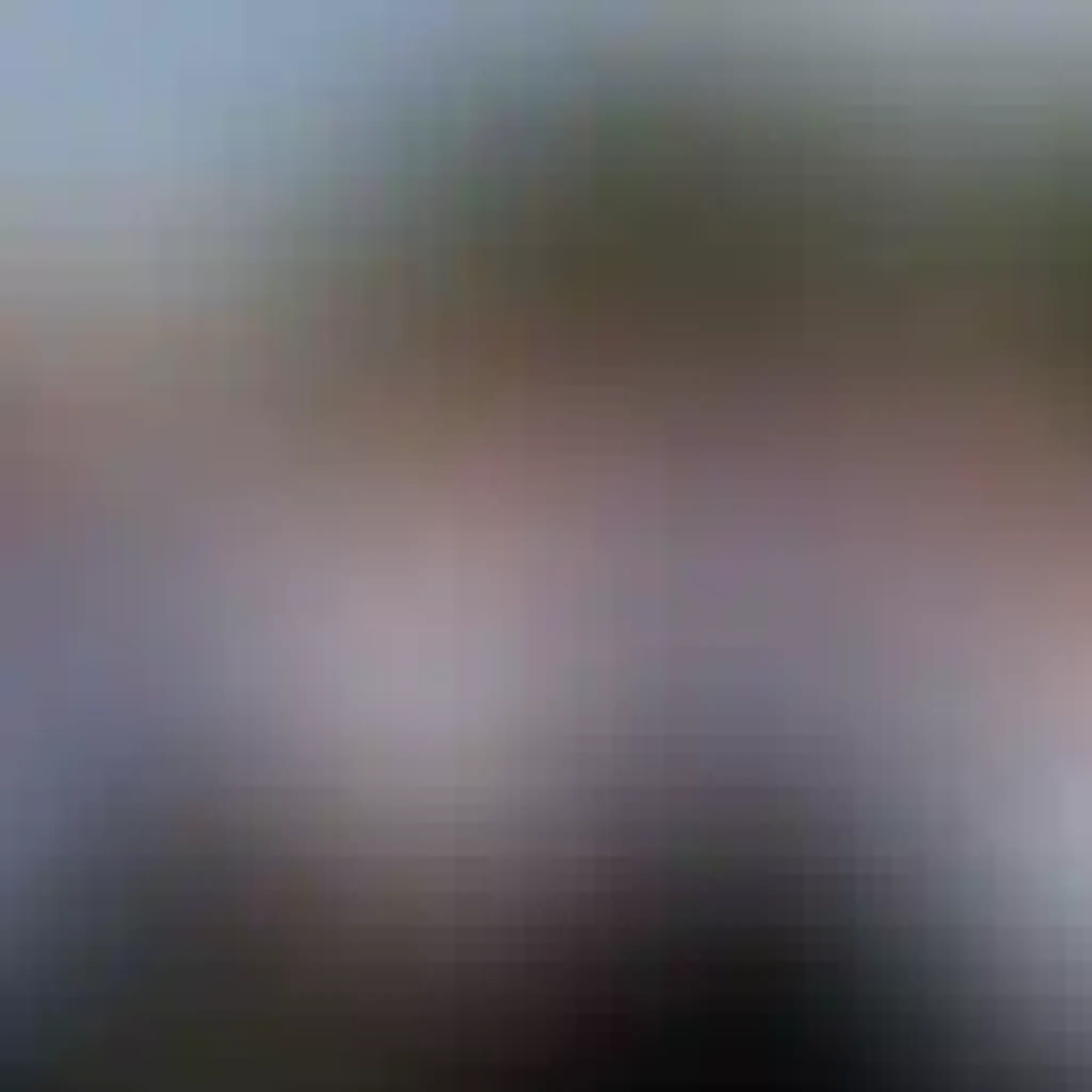 Main Ridge Bowls Club