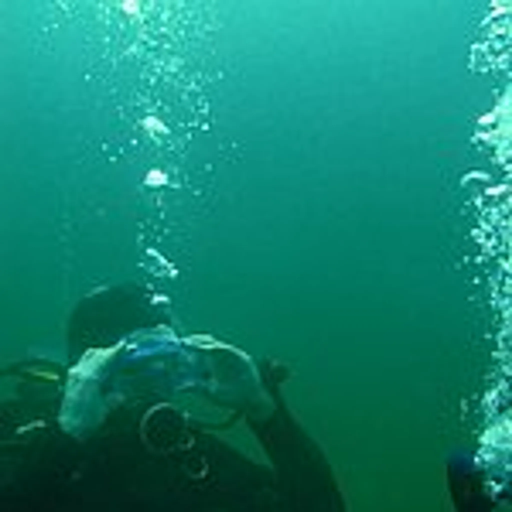 DiveINNResort Guláška