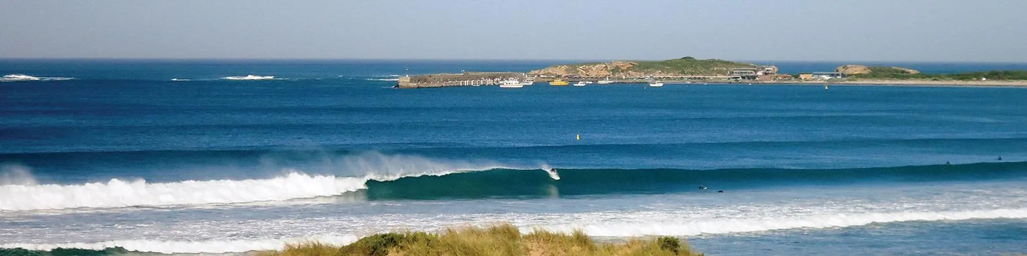 The Robins School of Dancing
