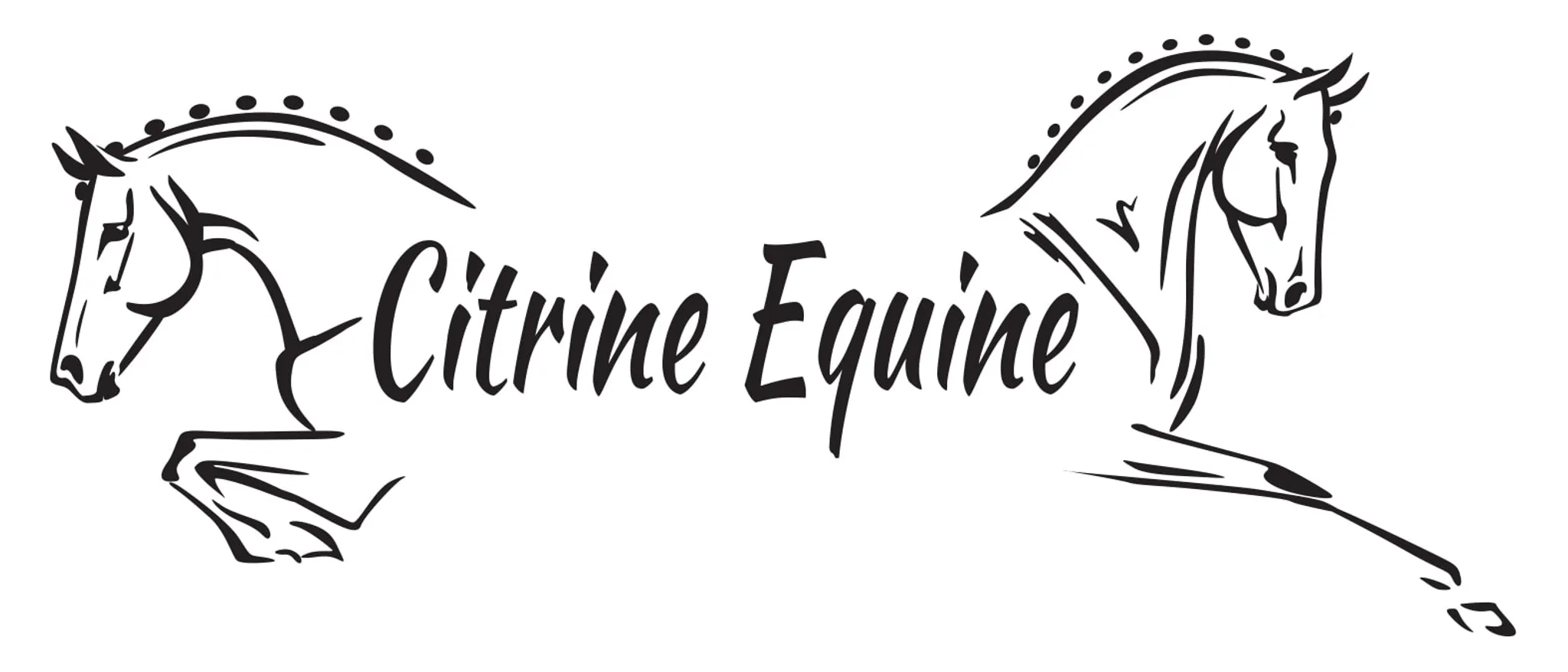 Citrine Equine