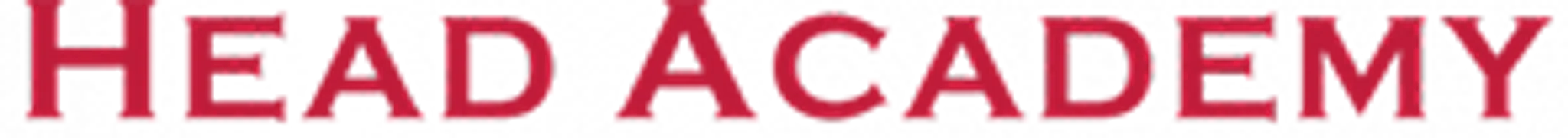 Head Academy Kung Fu Caringbah