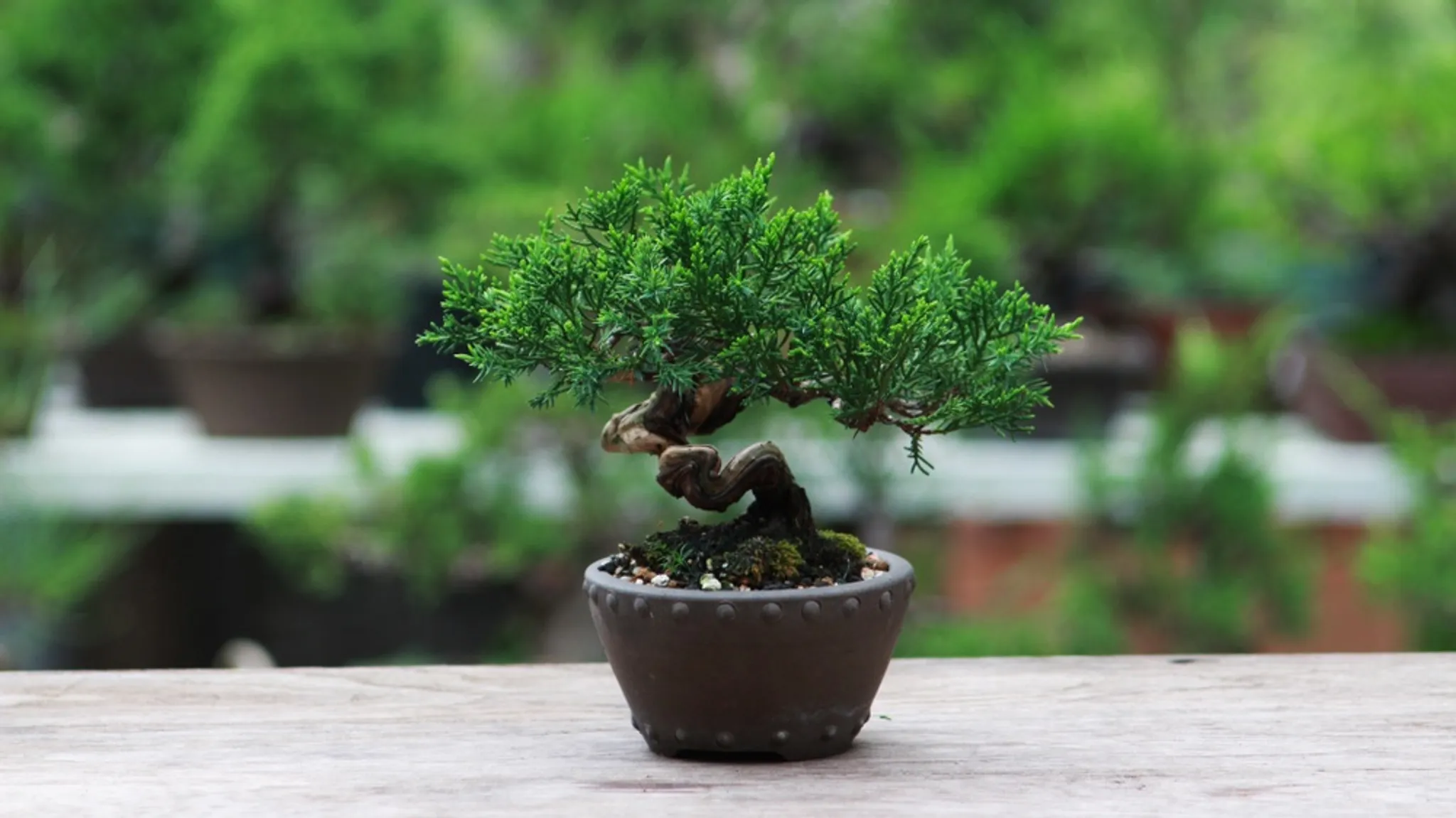 KV Karate Martial Arts Centre