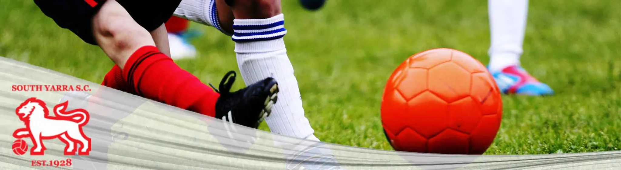 South Yarra Soccer Club – Juniors