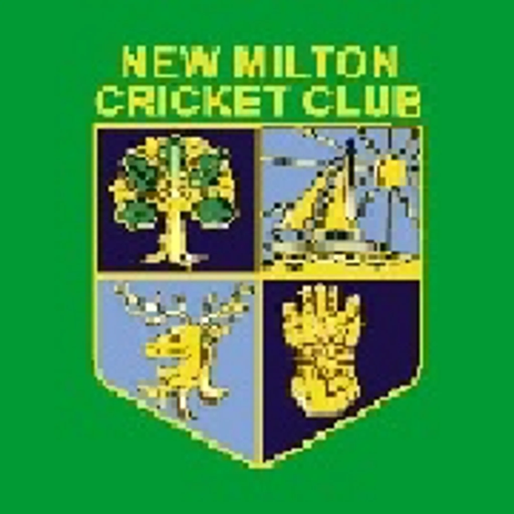 New Milton Cricket Club