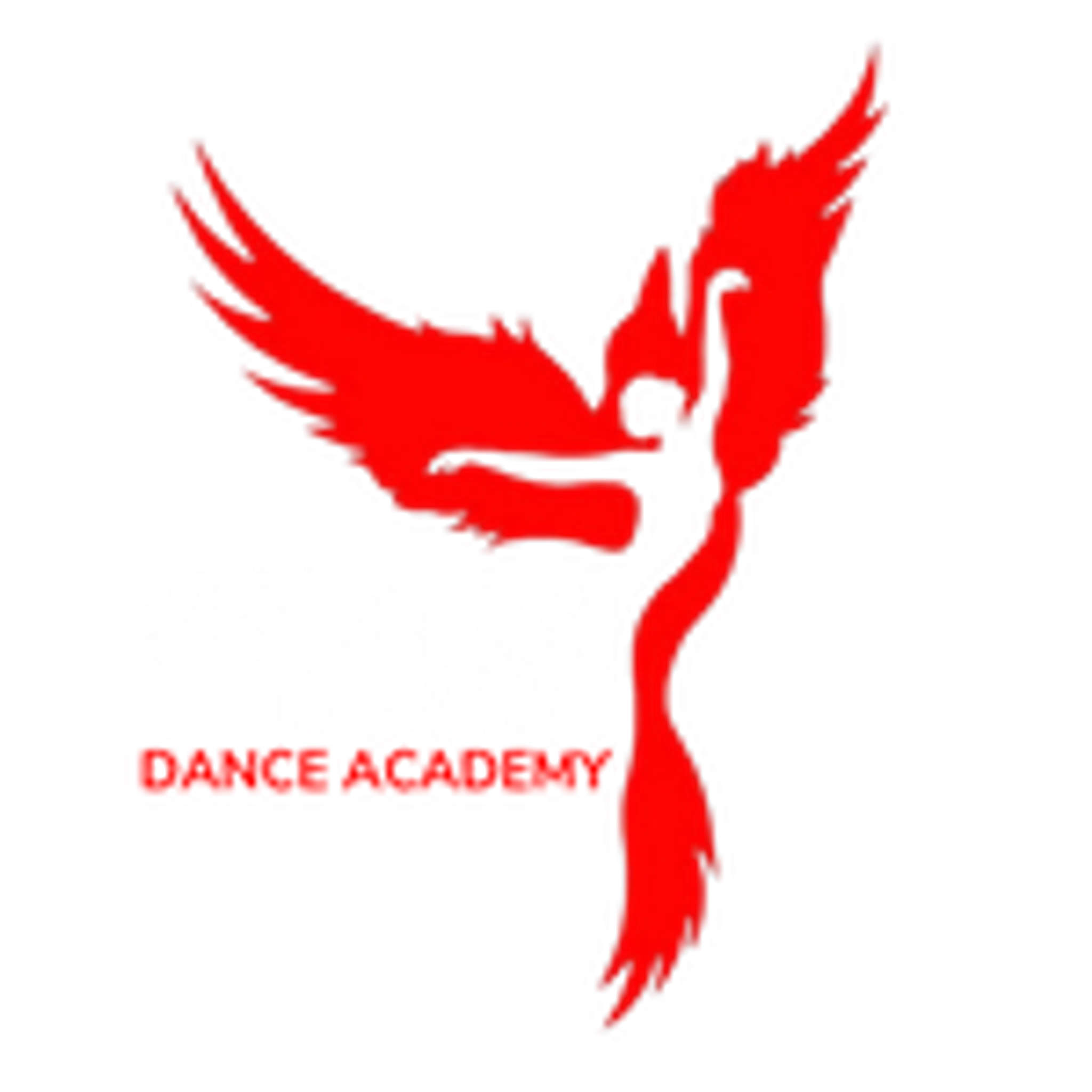 Nathan Mark Dance Academy