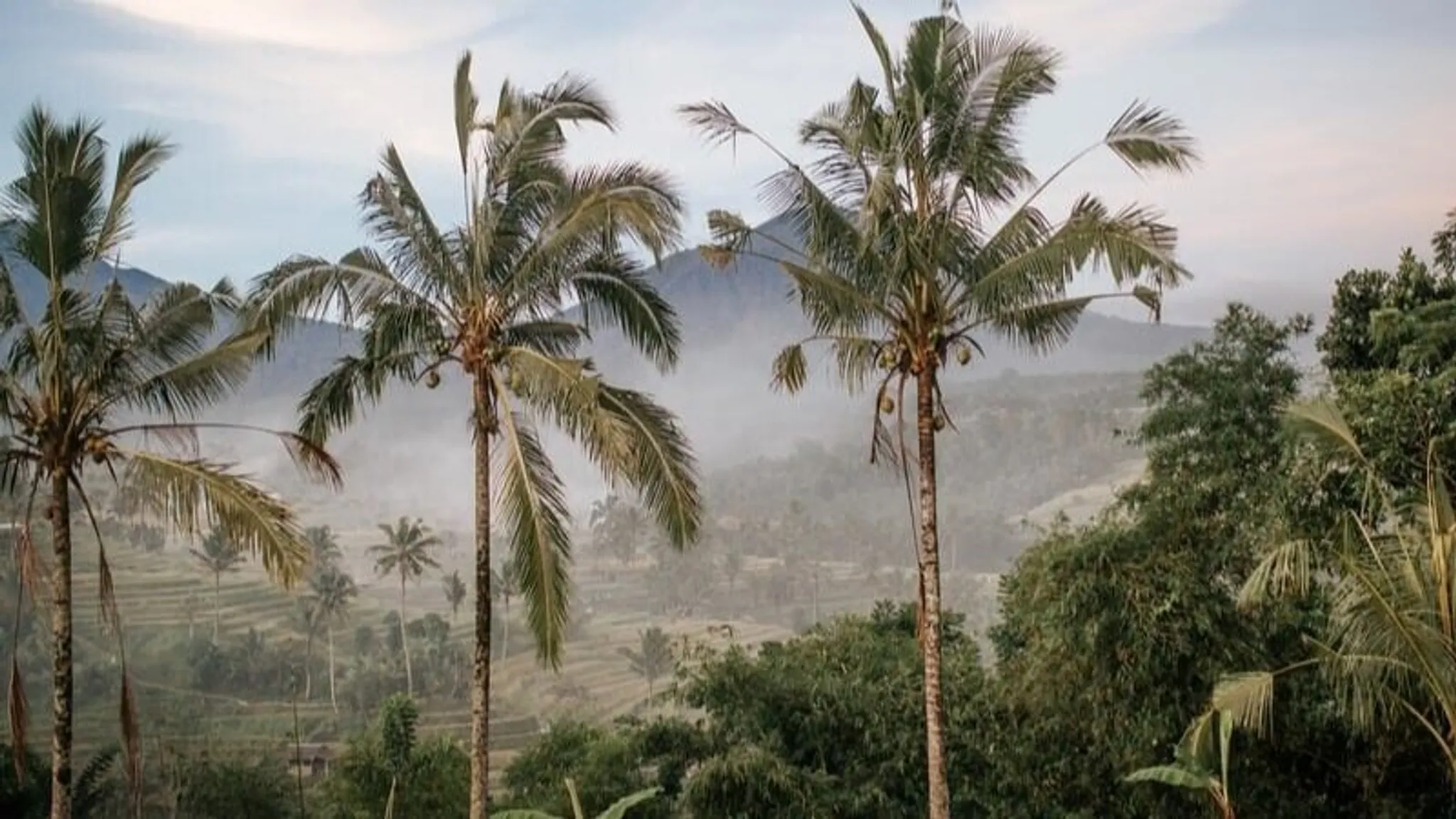 NIKE Boxing for Fitness