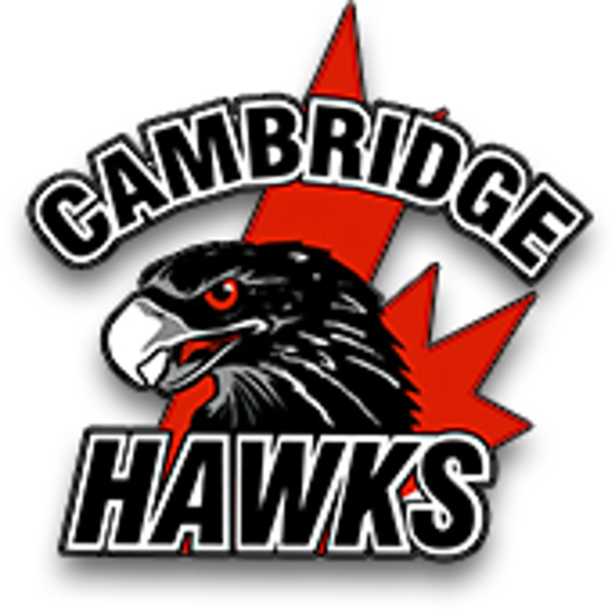 Cambridge Minor Hockey